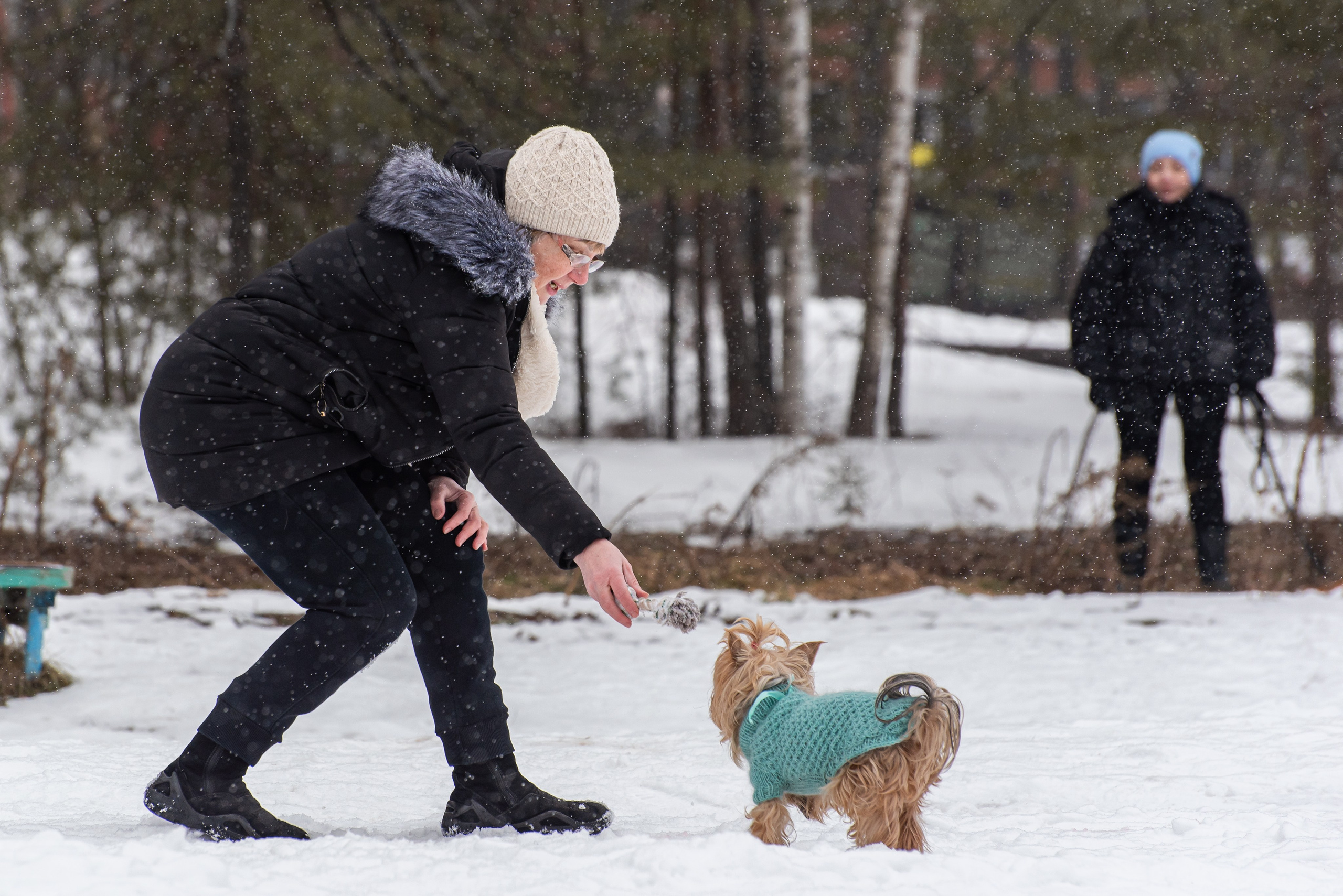 Фотосъёмка с собаками в Кинологическом лагере. Фотограф Макс Огурцов в Нижнем Новгороде
