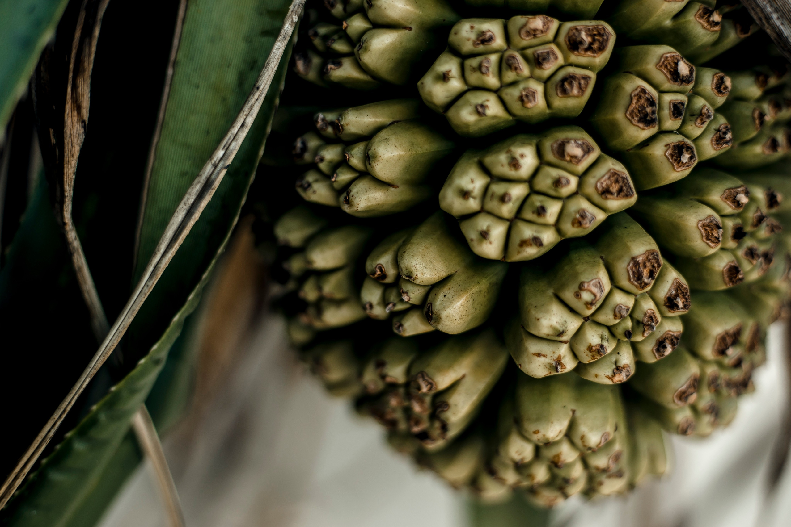 Andaman Islands, Part2. Art Photographer