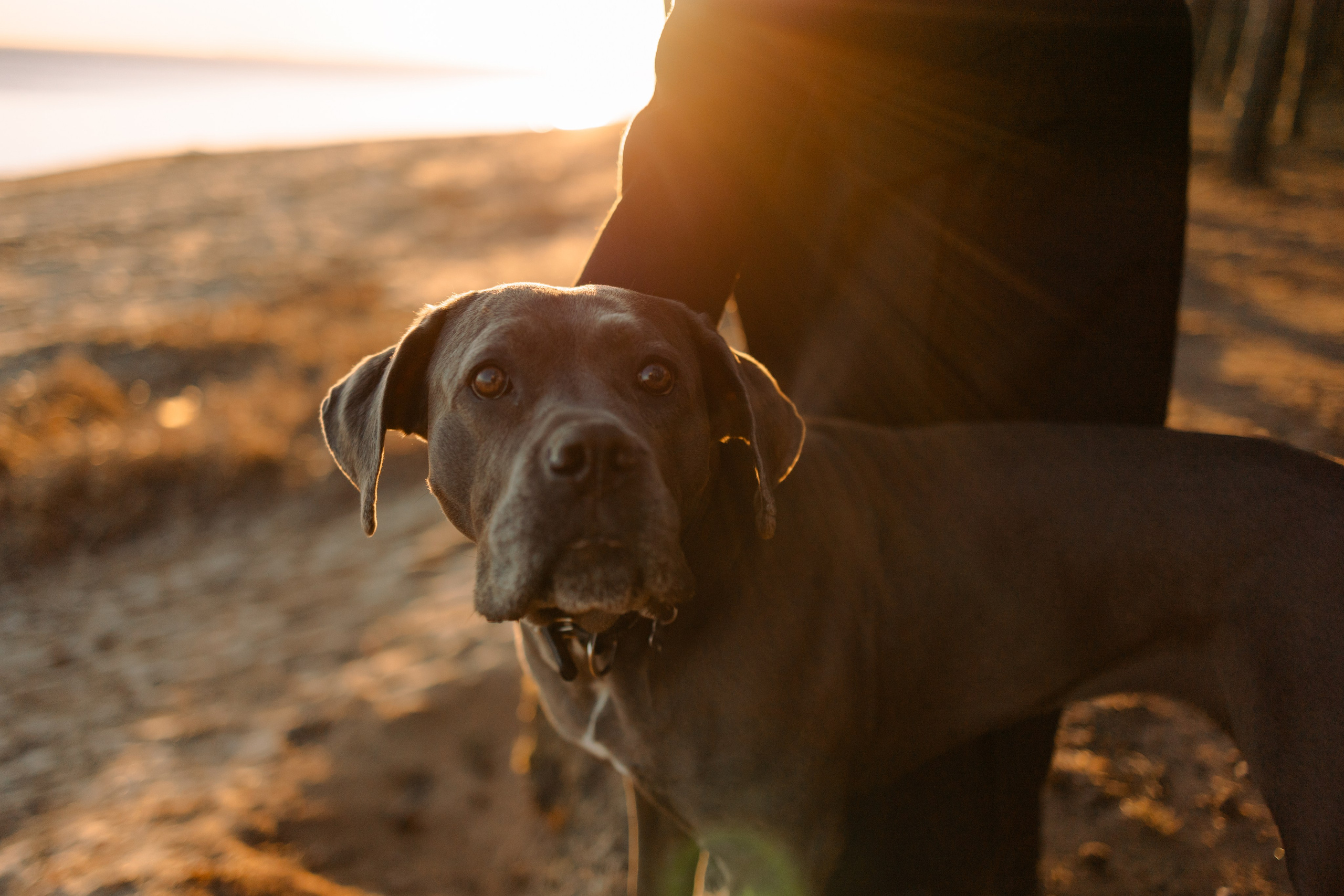 Анна и Лана. Фотограф — Анималист | Санкт-Петербург