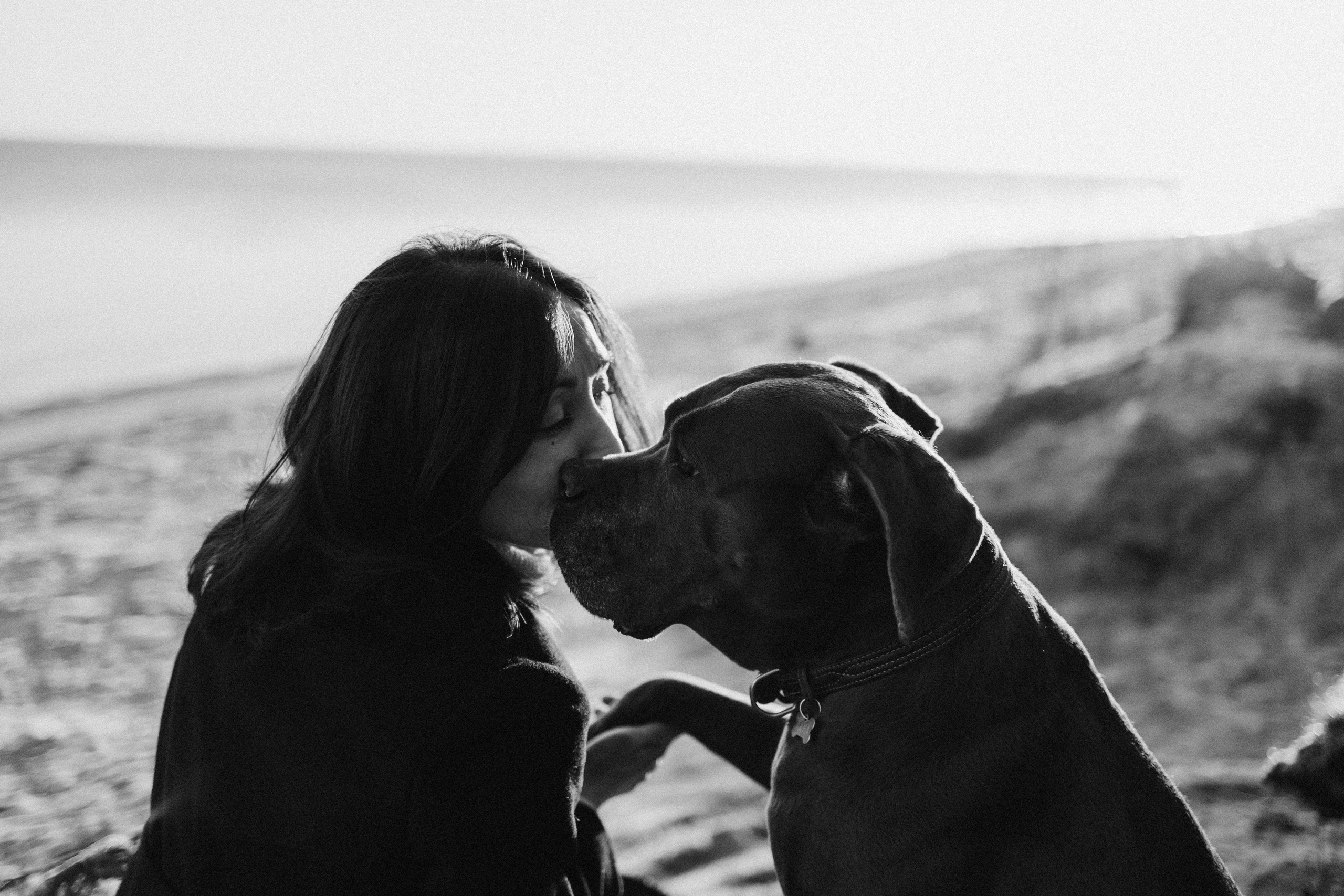 Анна и Лана. Фотограф — Анималист | Санкт-Петербург