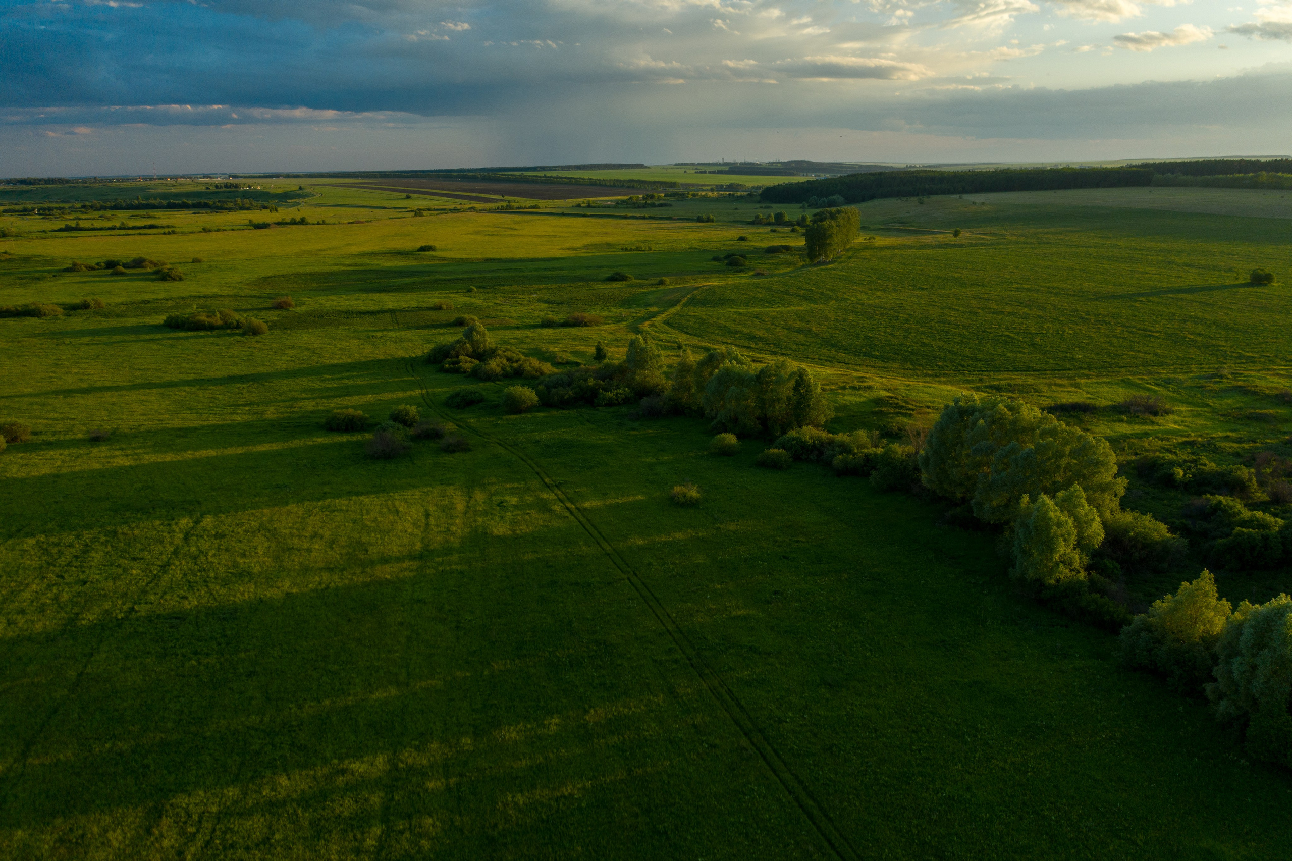 ЦВЕТНЫЕ ФОТОГРАФИИ. Никита Аничкин фото и видео оператор из России