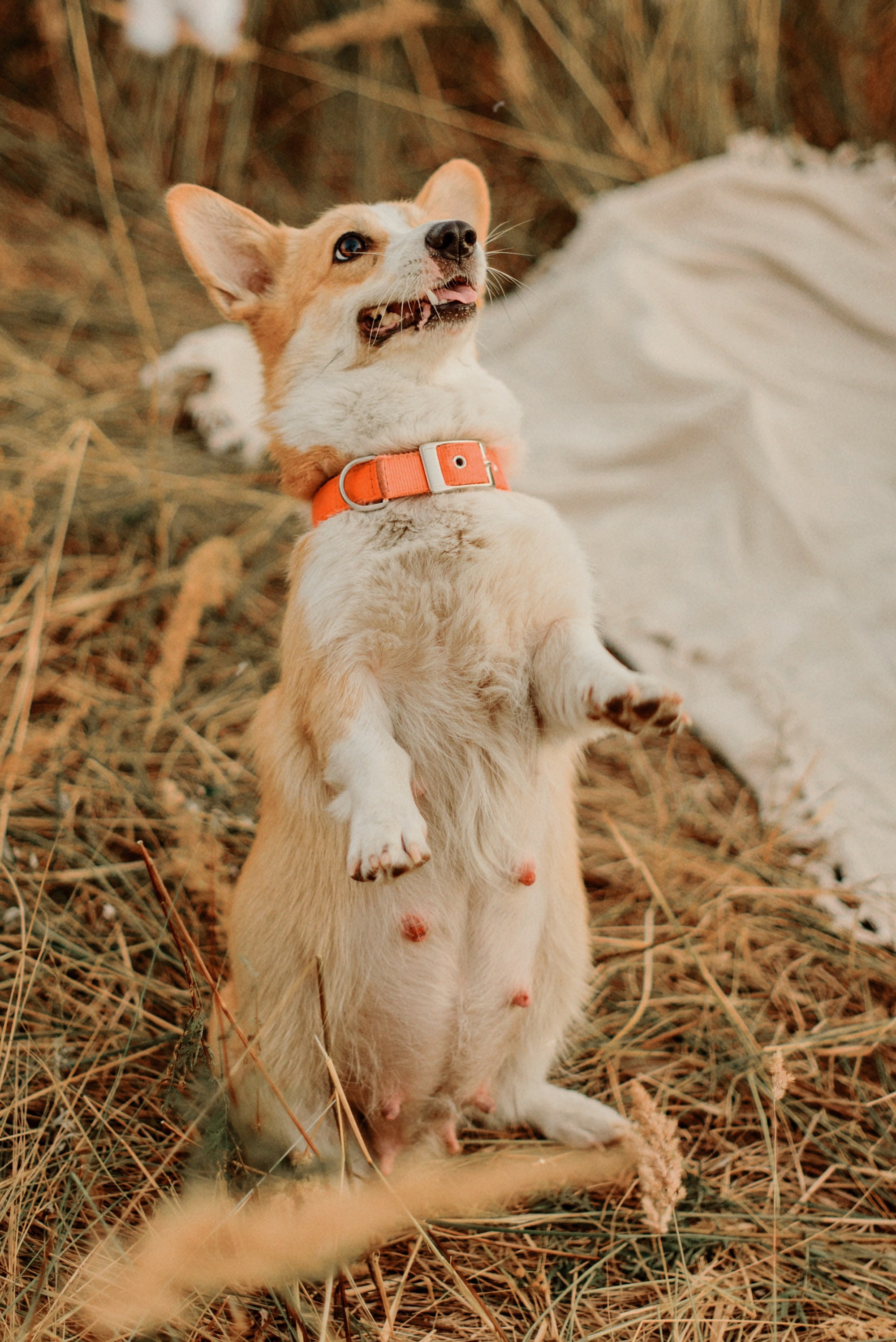 ЖЕНЯ, САША, СЕМЁН и ЛЁВА. Свадебный и семейный фотограф РИТА БОЧКАРЁВА