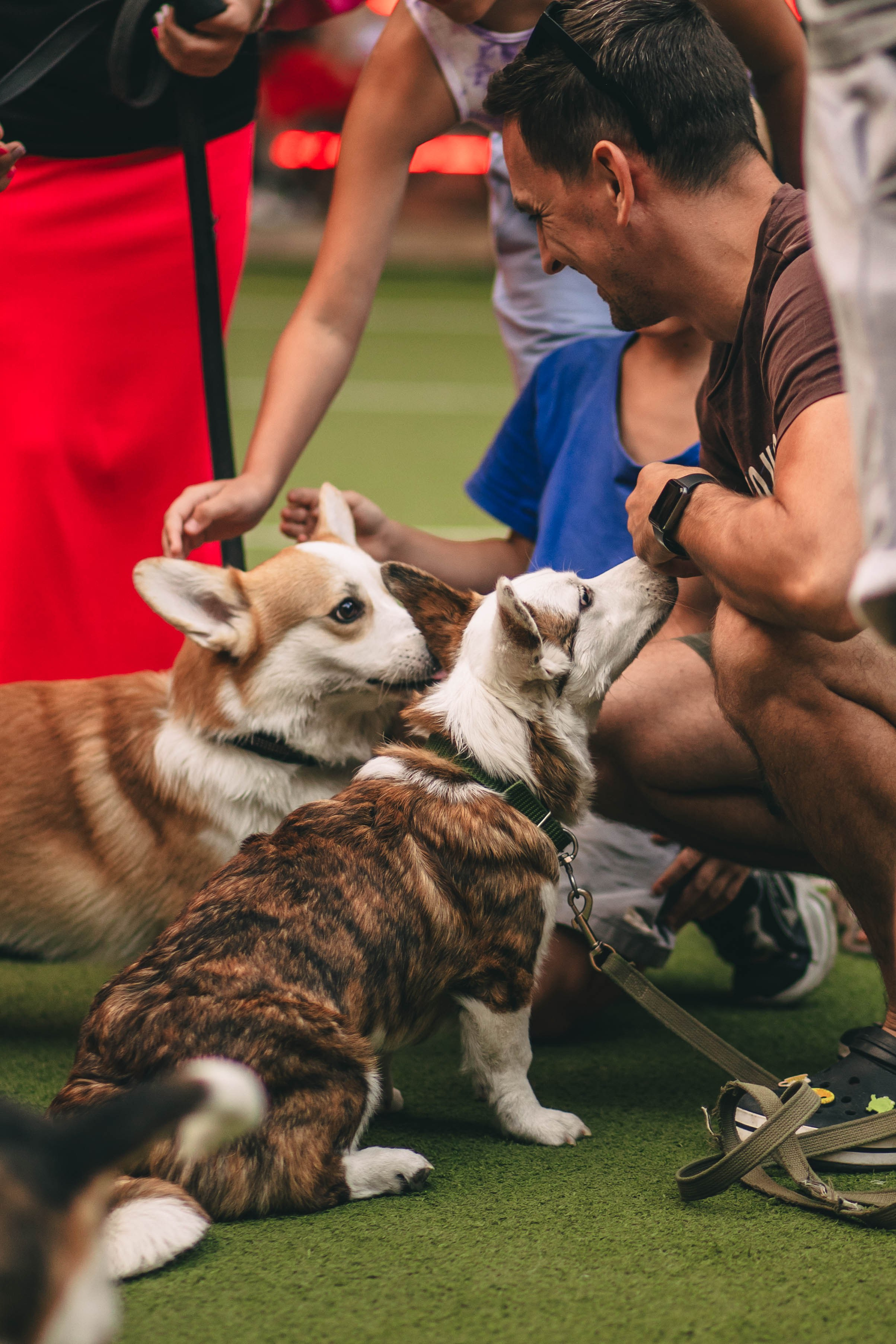 Pet-Party + Live-music |Парк Культуры. Фотограф в Ставрополе Алина Клочкова