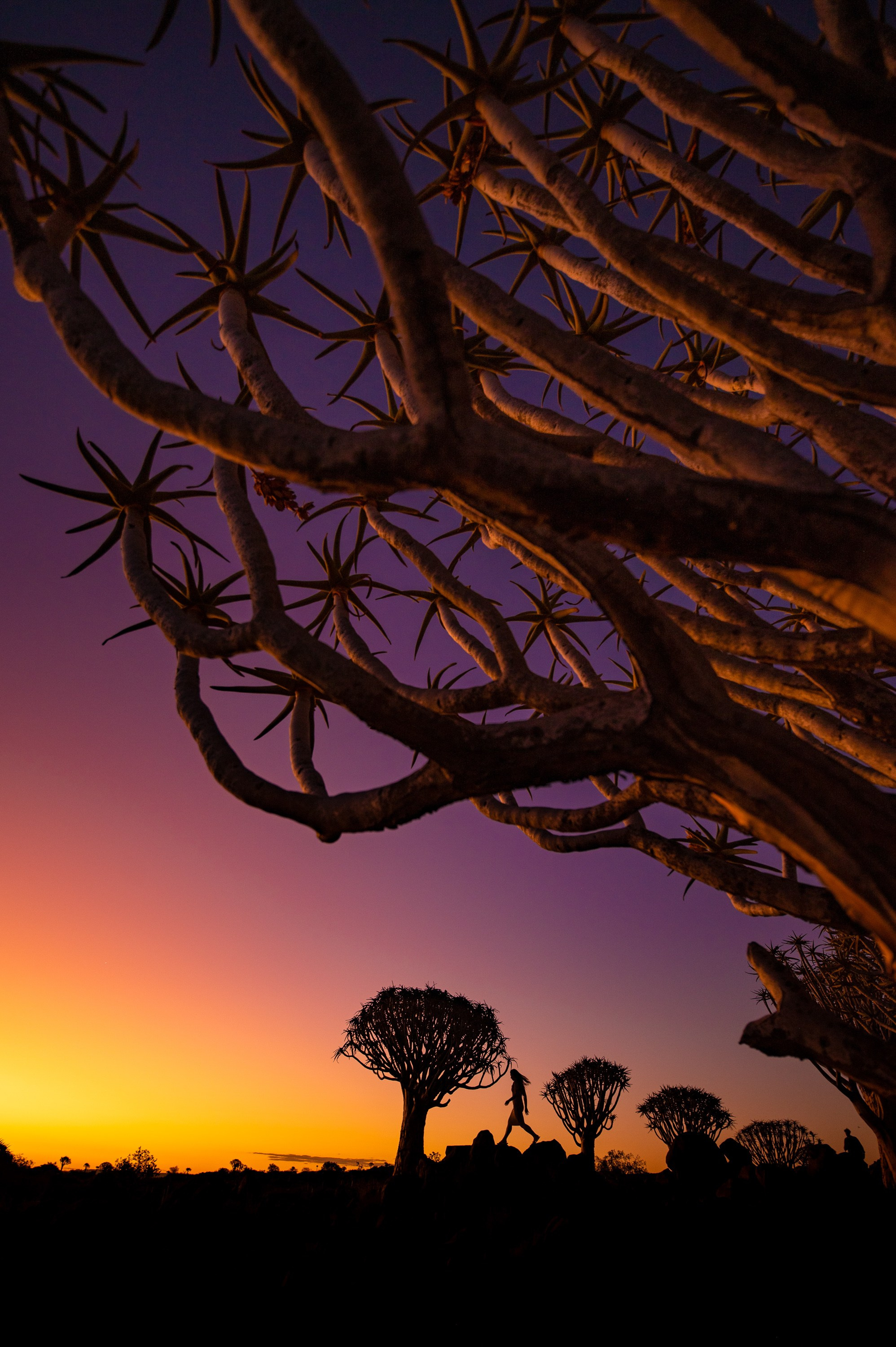 НАМИБИЯ. Роадтрип