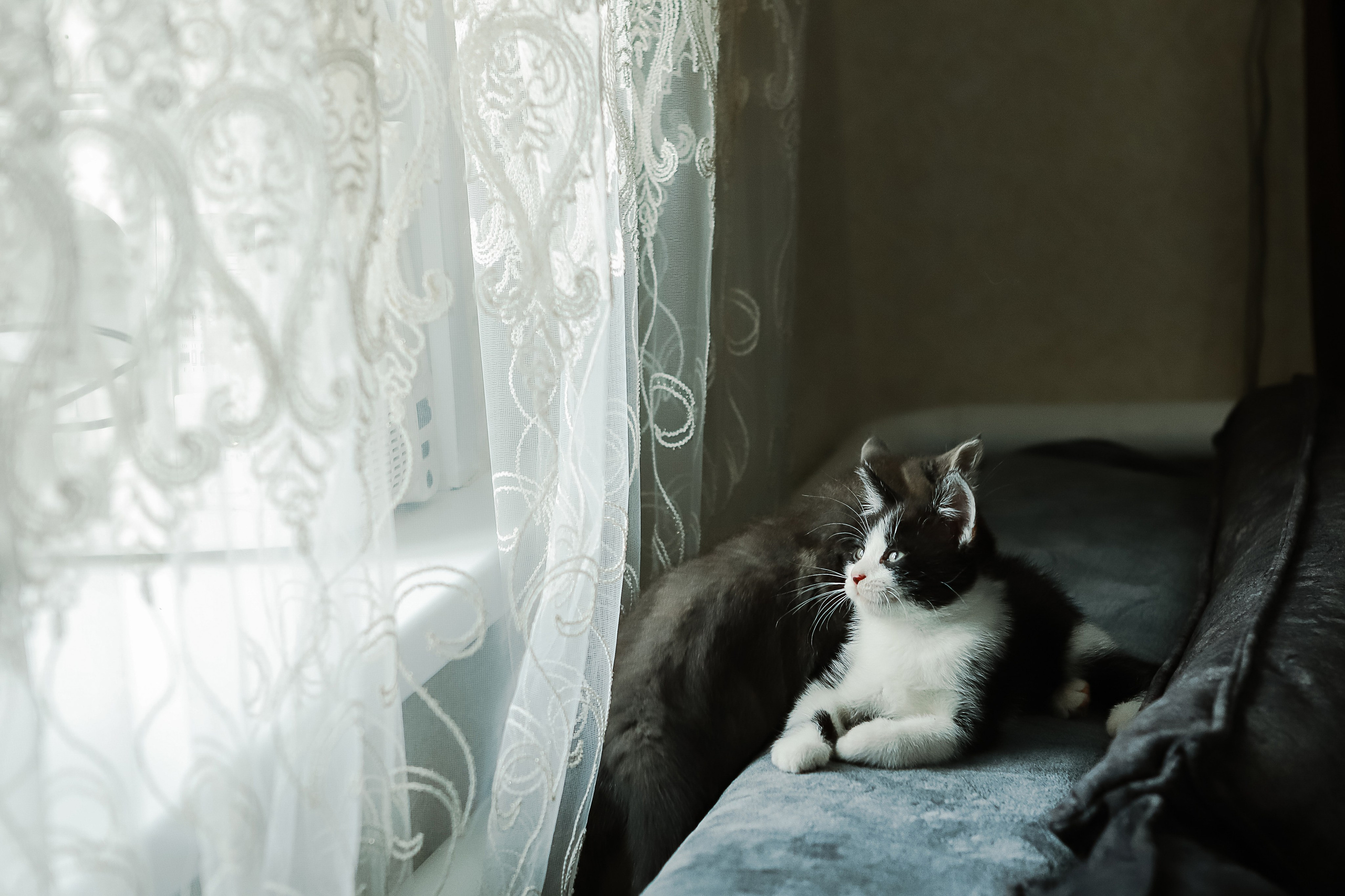 Наталья и Андрей. Свадебный фотограф Евгения Фролова г. Каменск-Шахтинский, Донецк, Ростов