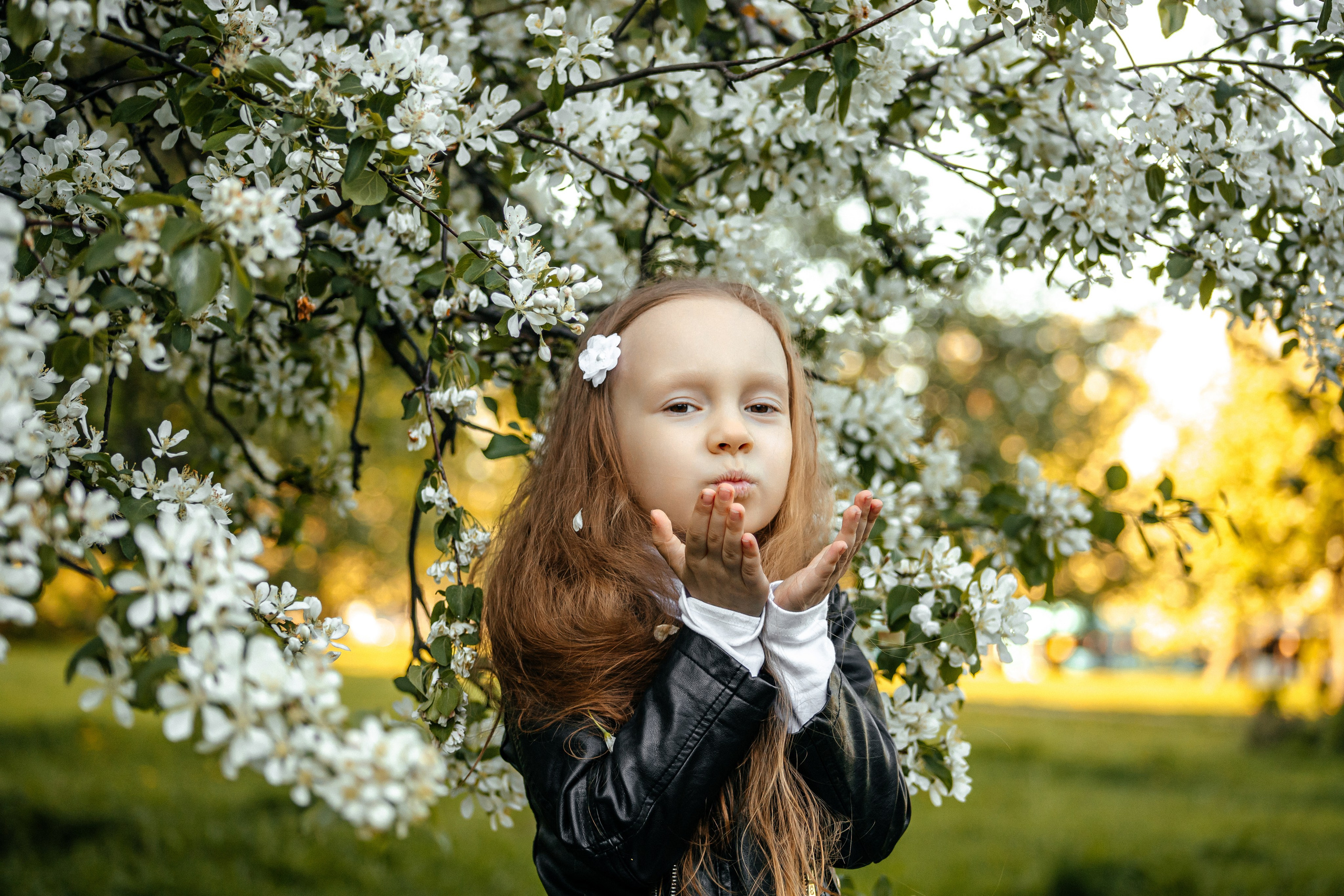 Белое цветение. Elena Sova — семейный и женский фотограф в Санкт-Петербурге