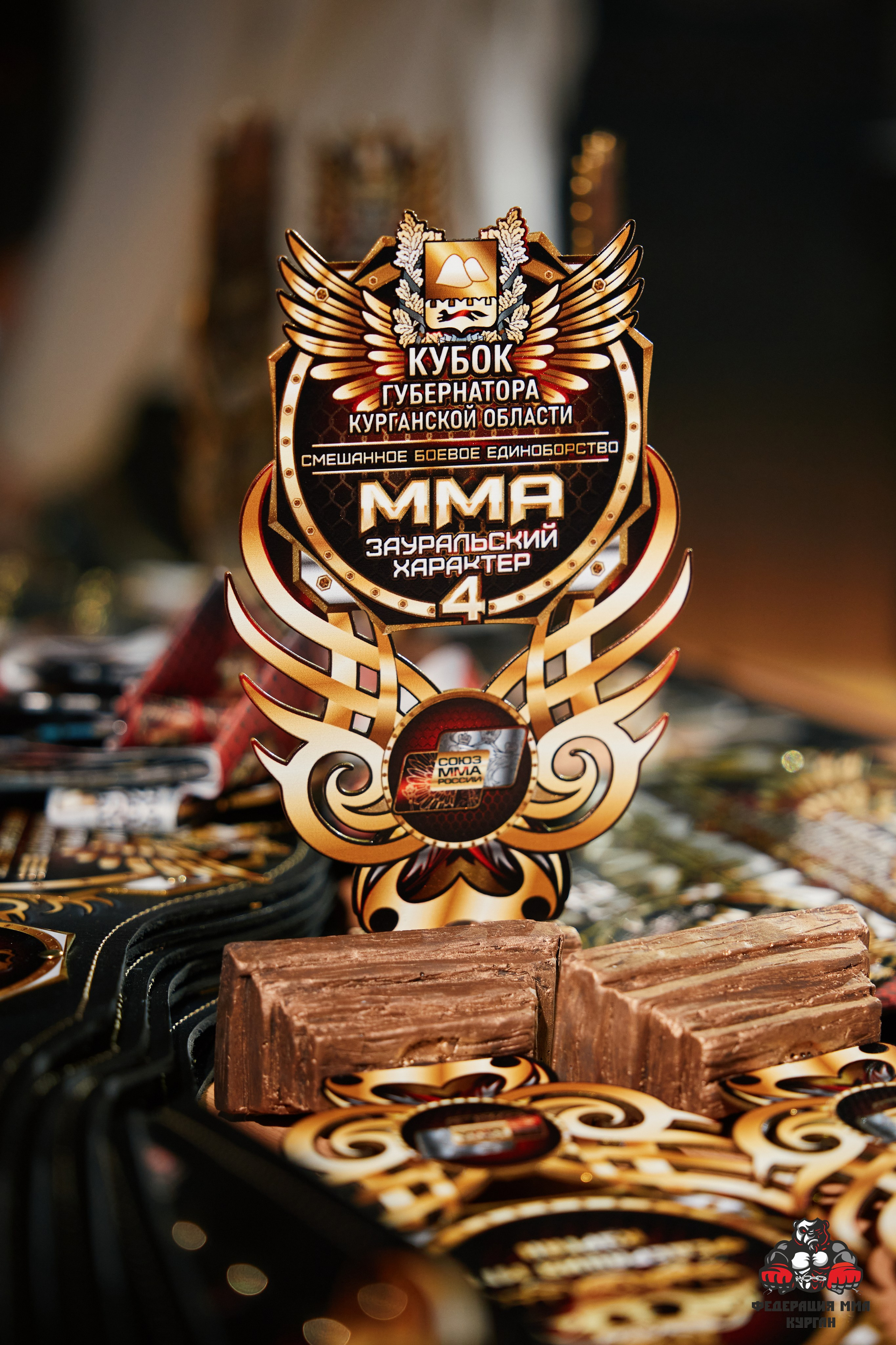 ММА. Фотограф и видеограф в Кургане Леонид Корнильев