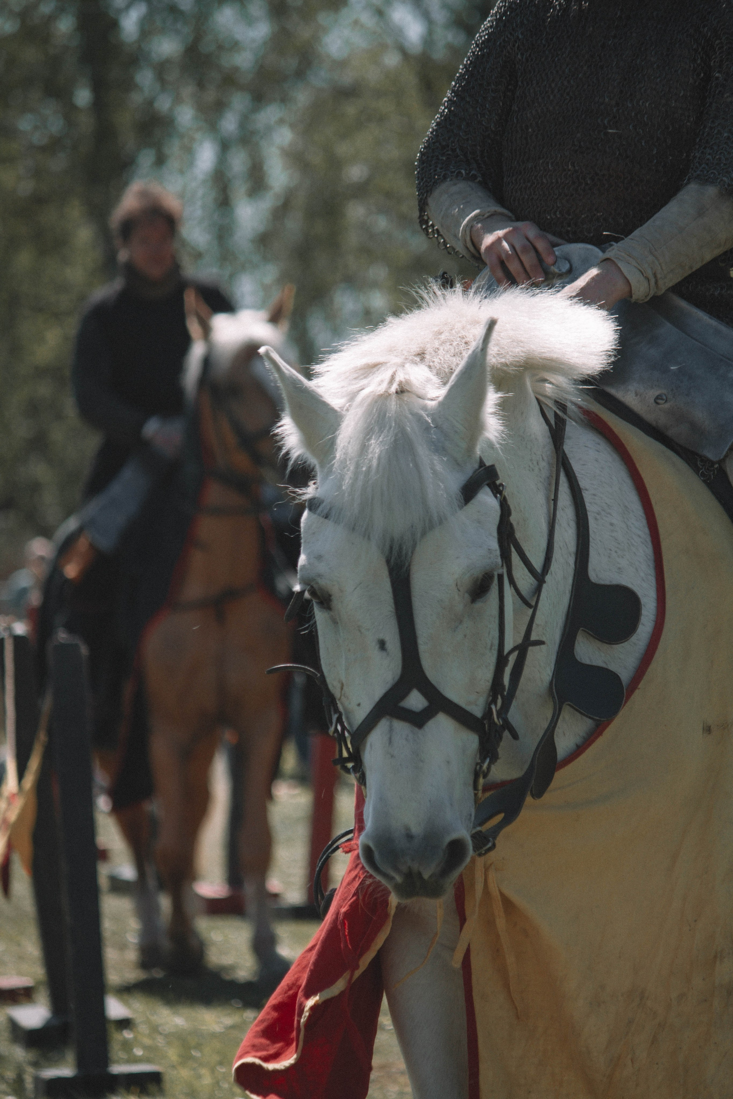 СТАРАЯ ЛАДОГА — Историко-культурный фестиваль. Создадим шедевр? Виталина и её фотоискусство