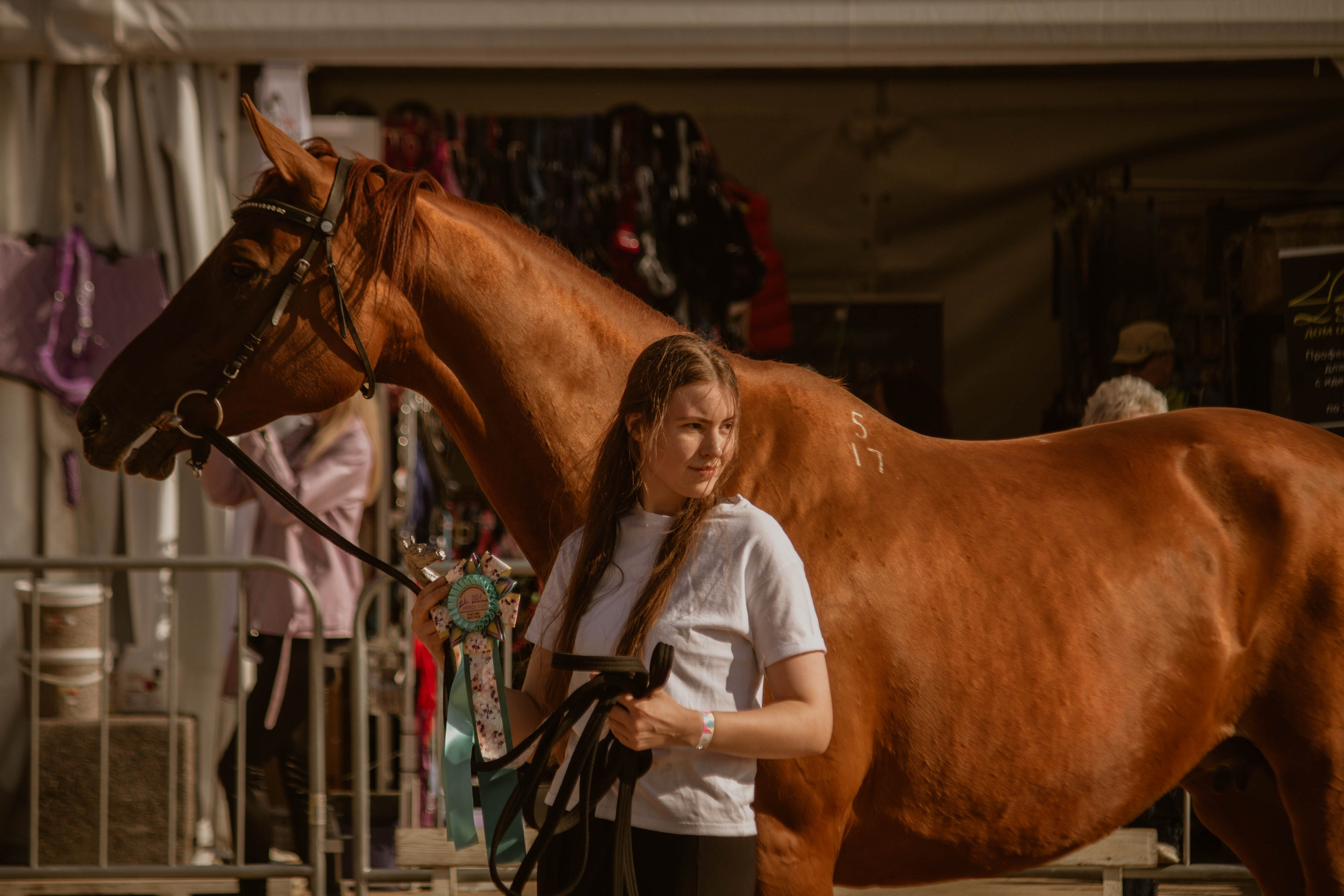 ИППОСФЕРА — Международная конная выставка. Создадим шедевр? Виталина и её фотоискусство