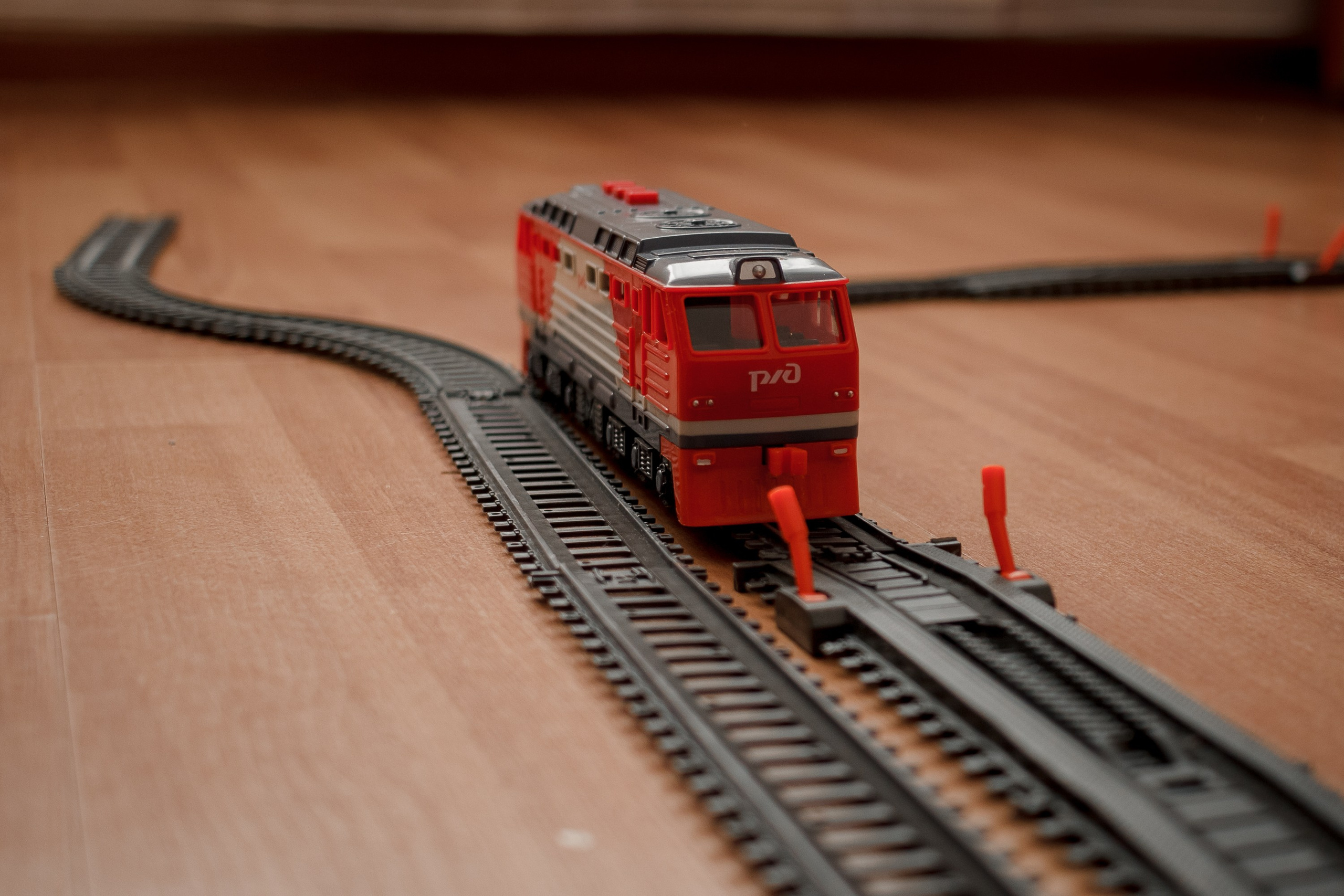 Аня (домашняя). Фотограф Великий Новгород Татьяна Чиглинцева