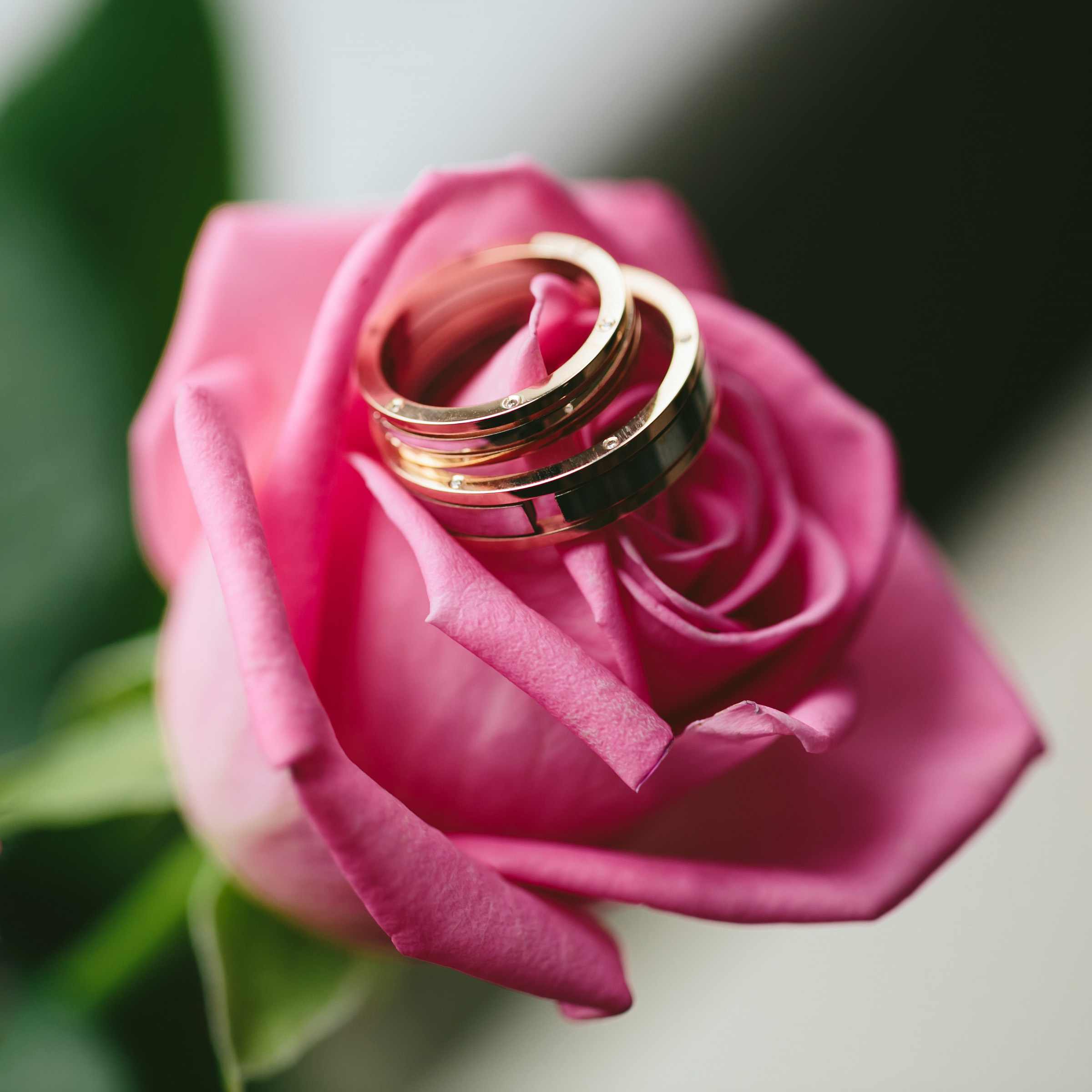 Владимир и Анна. Свадебный и семейный фотограф в Туле Олег Славин