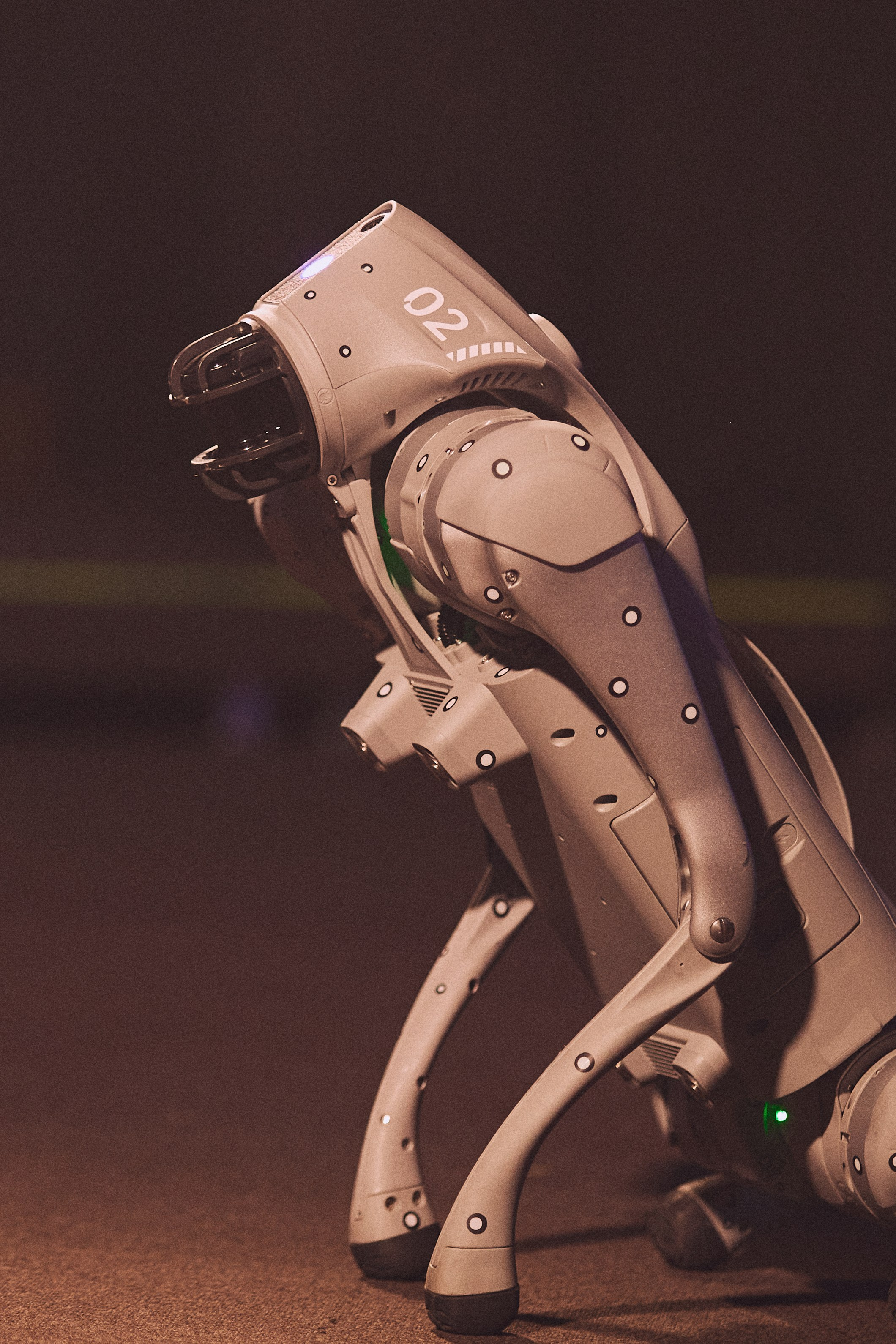 SASHA'S 9TH BIRTHDAY. Дмитрий Мазуркевич: Профессиональный Репортажный Фотограф