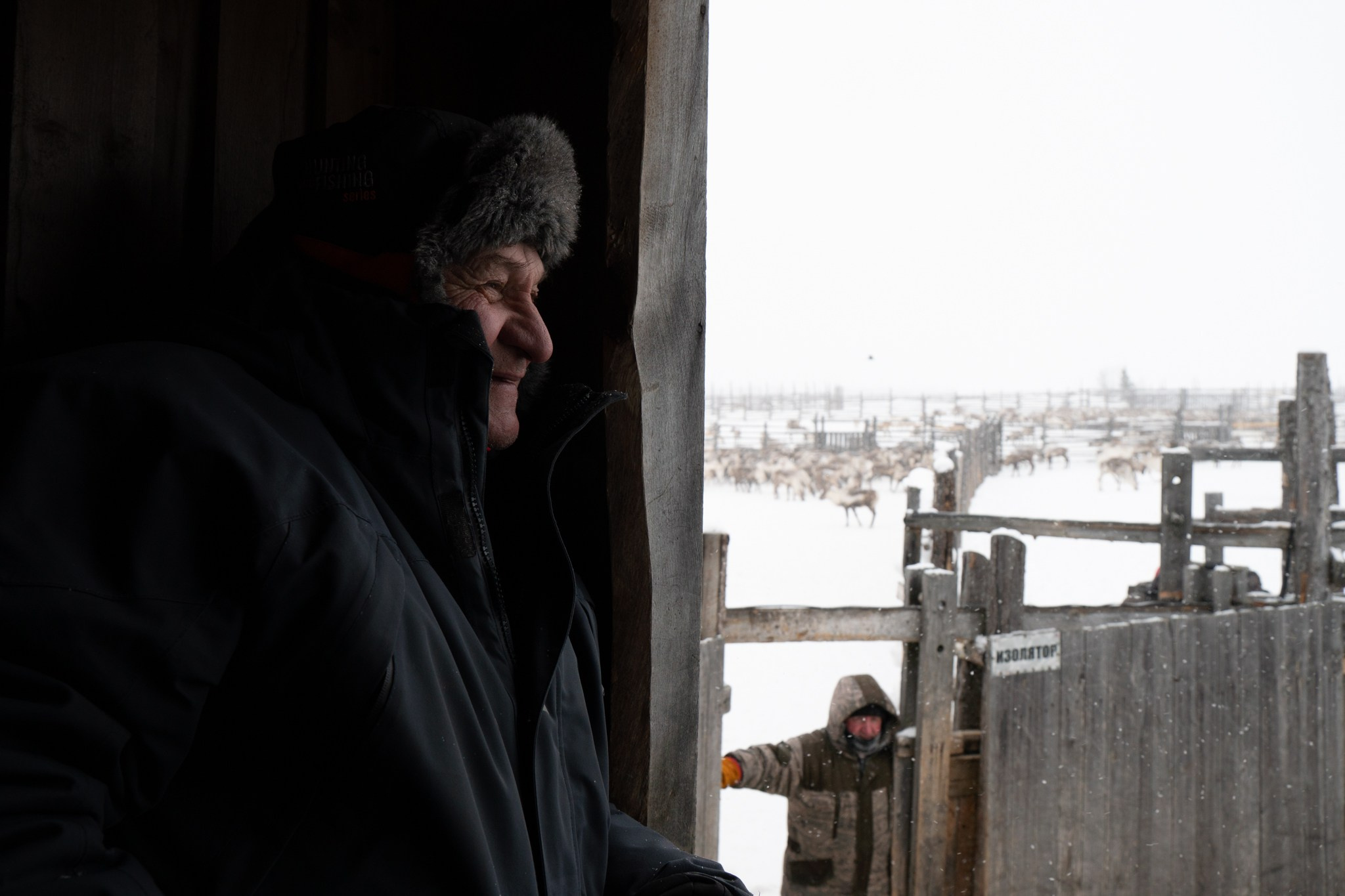Кораль. На север к оленям. Репортажный фотограф в Сочи — Михаил Мордасов