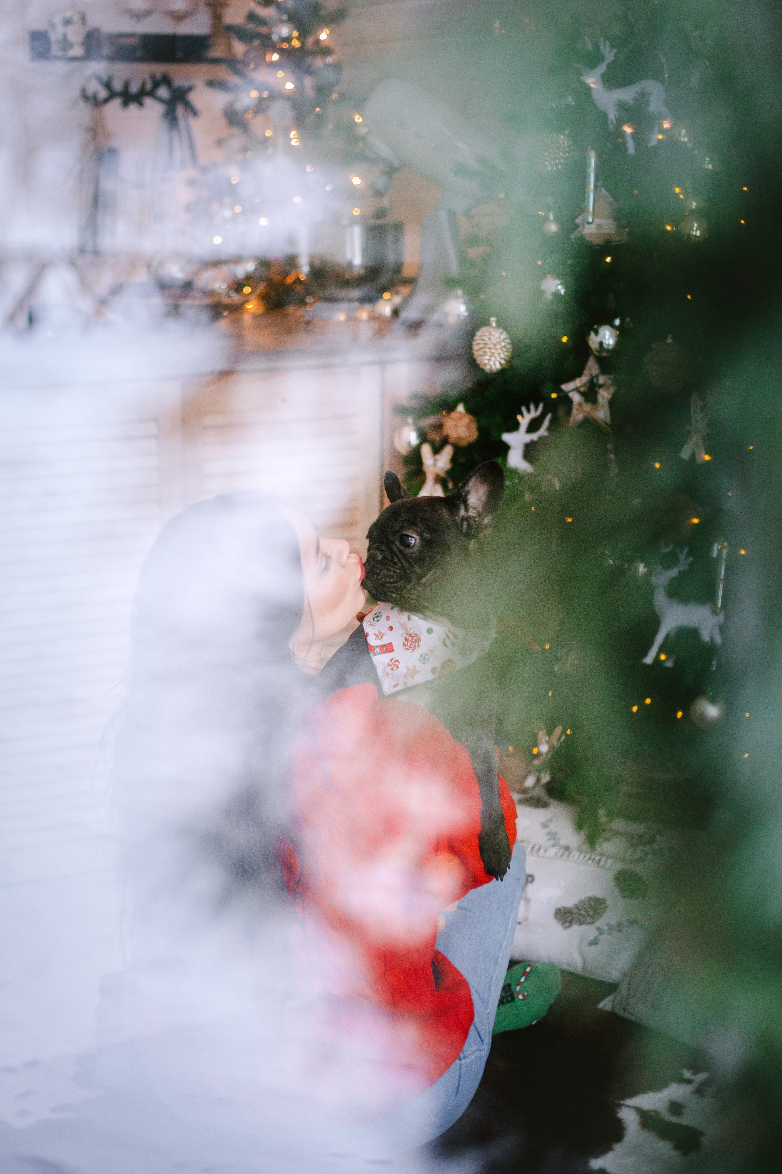 Кантри Хаус. Фотограф-анималист Татьяна Степанова