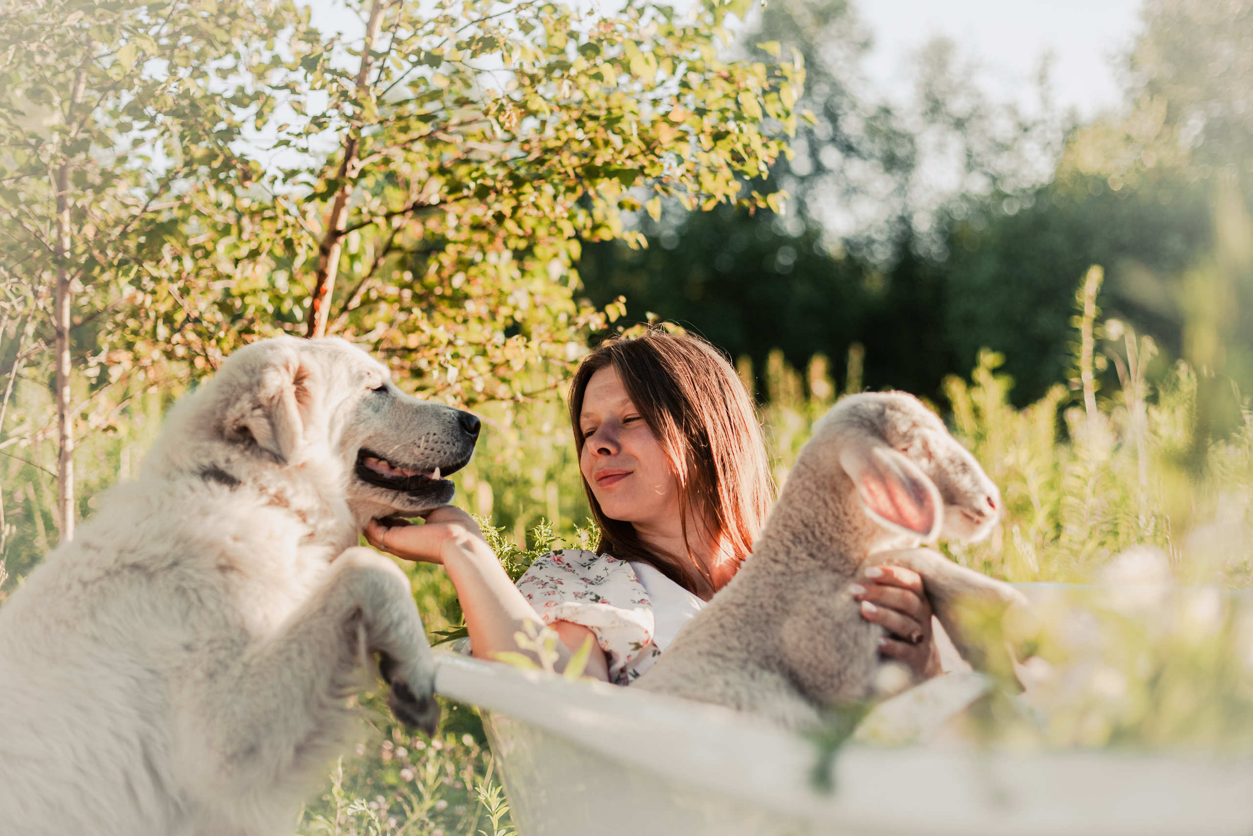 Ванна в поле. Фотограф-анималист Татьяна Степанова