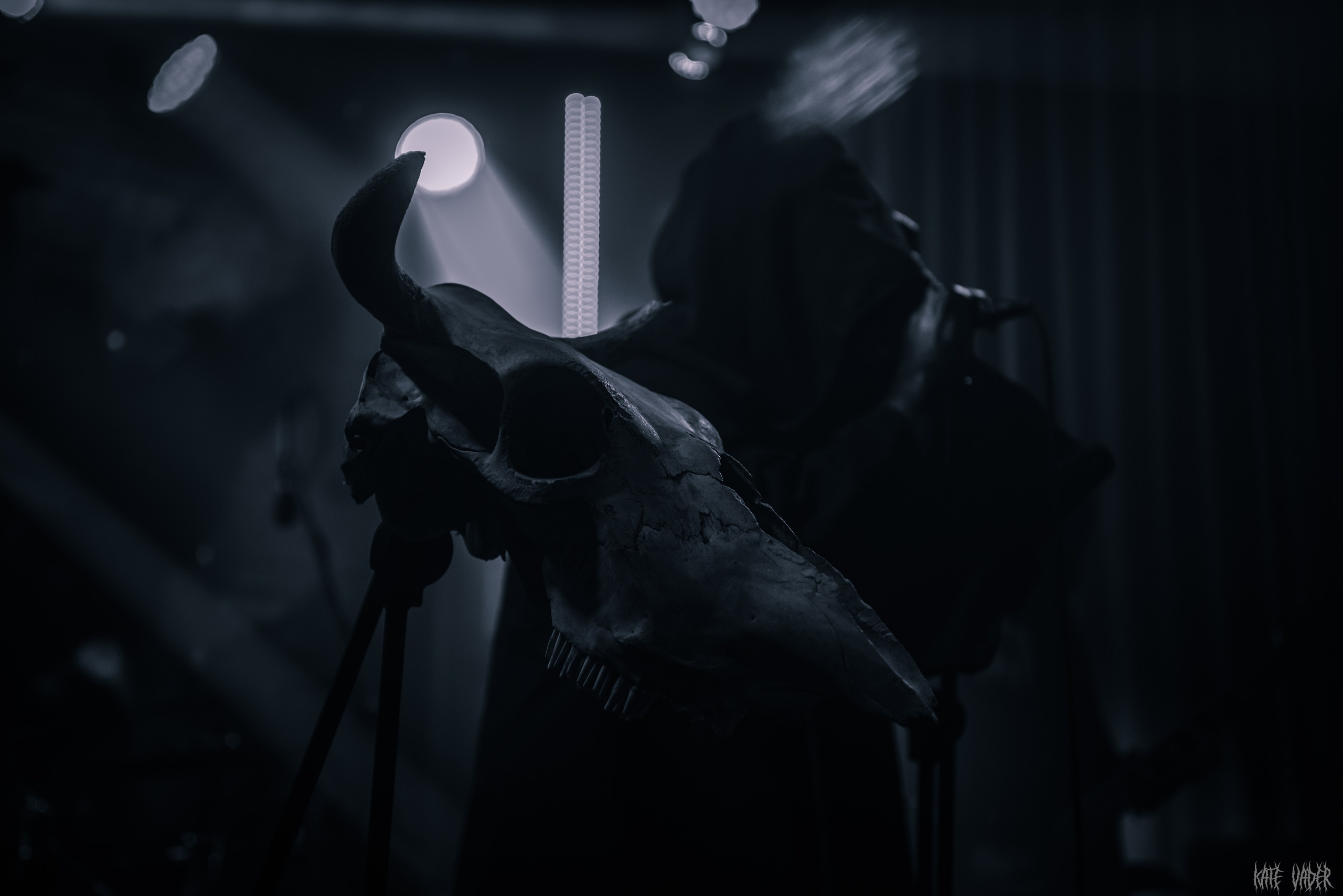 Vedmak. Kate Vader|Live Music Photography
