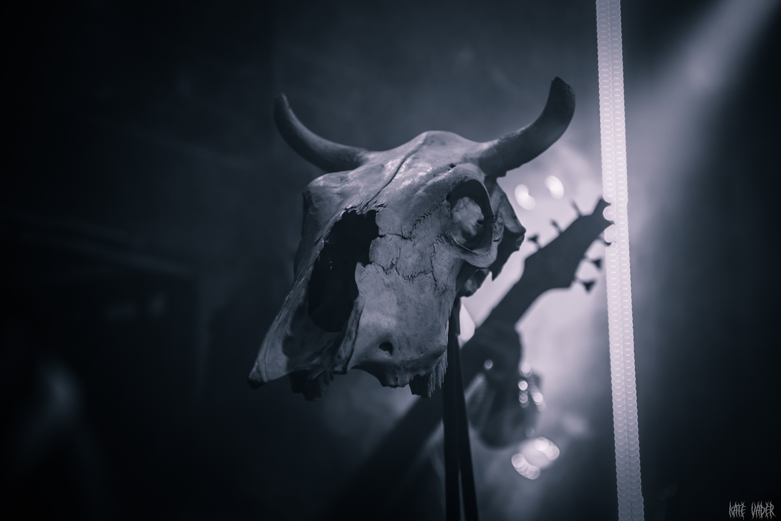 Vedmak. Kate Vader|Live Music Photography