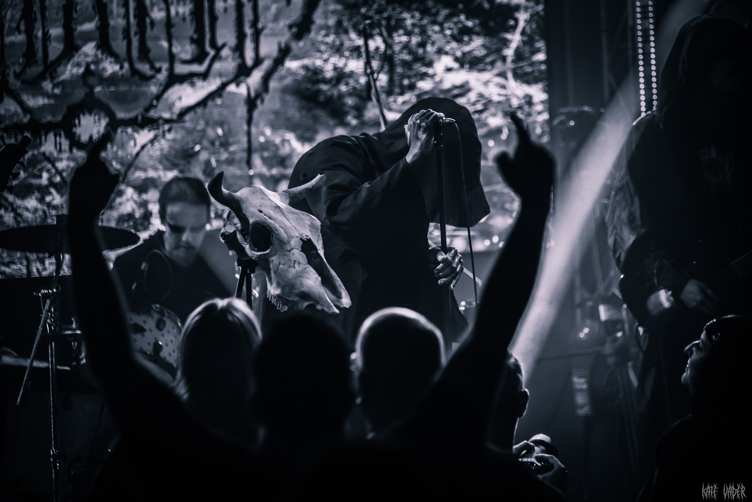 Vedmak. Kate Vader|Live Music Photography