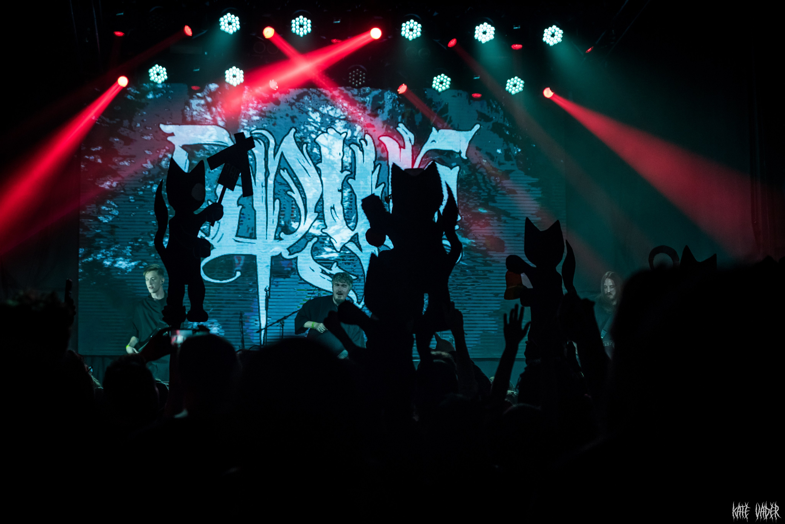 Сруб. Kate Vader|Live Music Photography