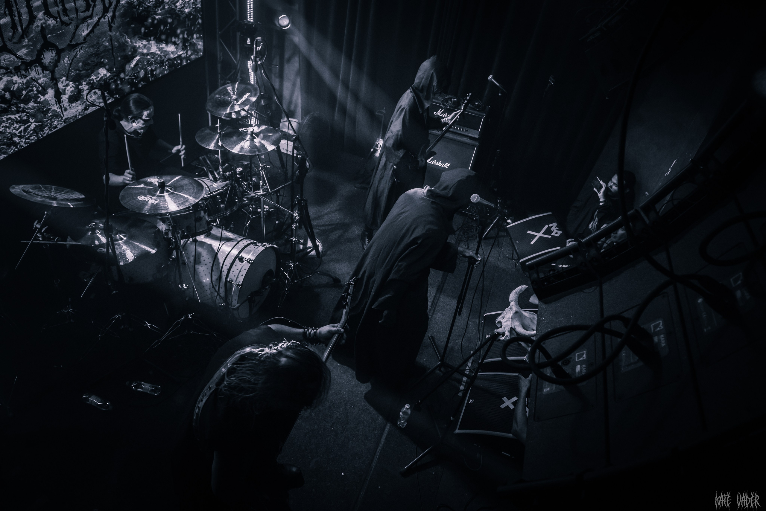 Vedmak. Kate Vader|Live Music Photography