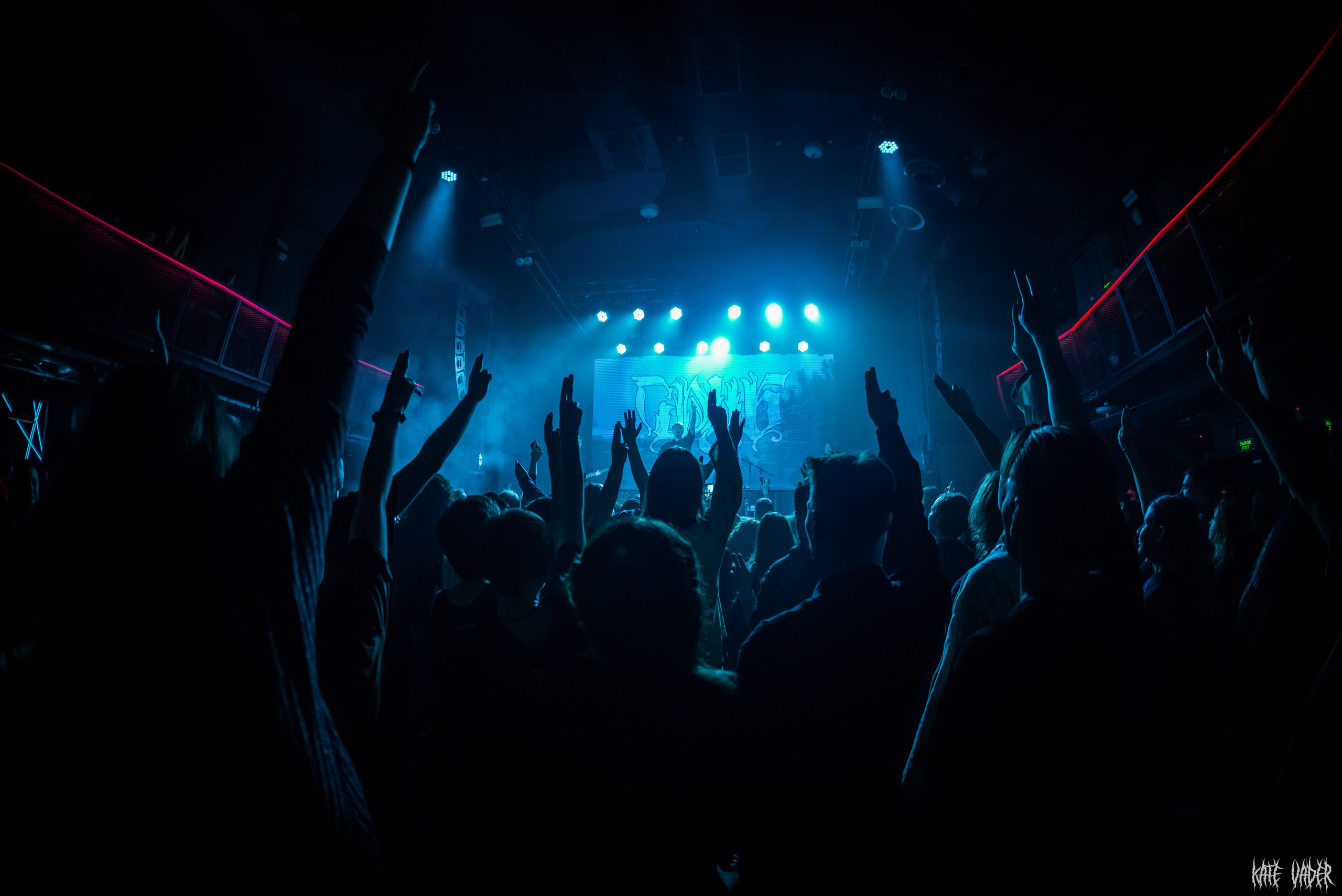 Сруб. Kate Vader|Live Music Photography