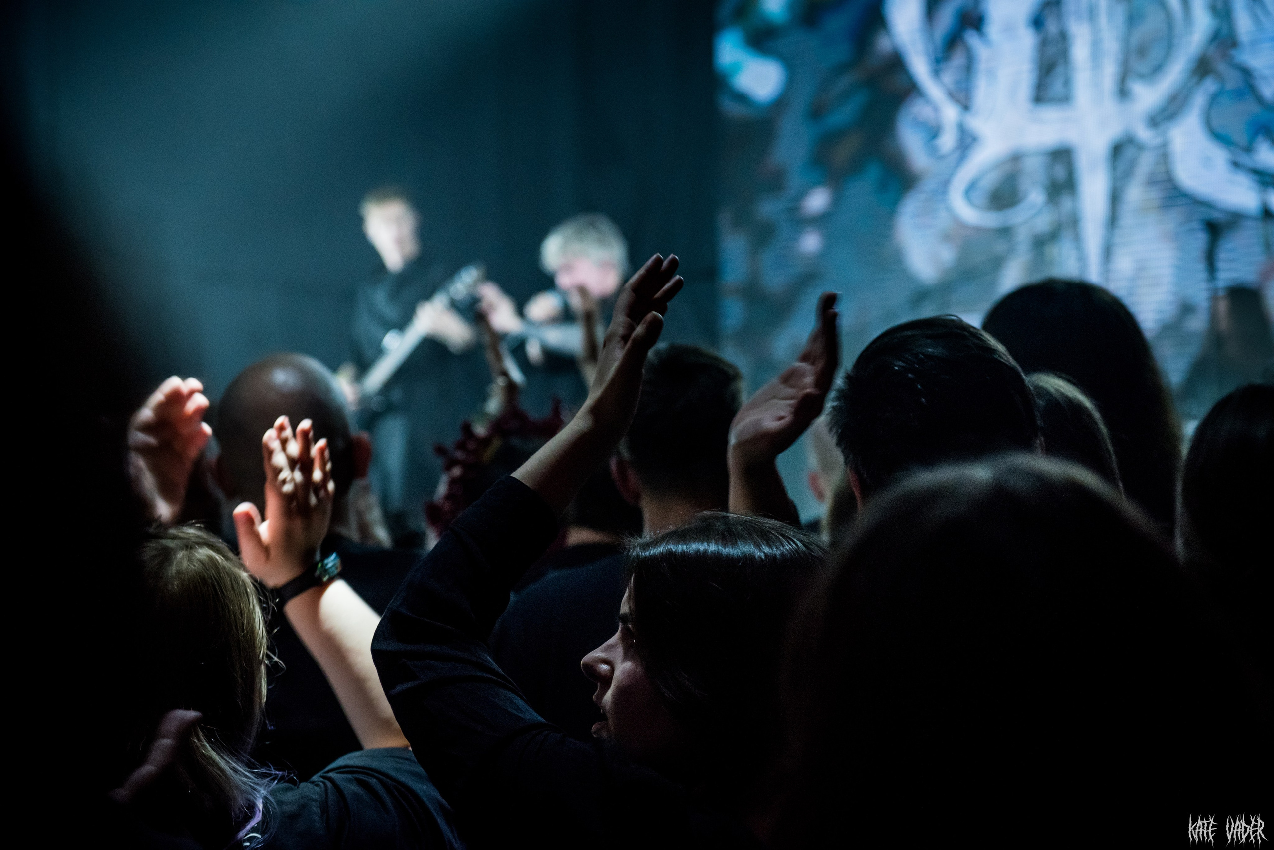 Сруб. Kate Vader|Live Music Photography