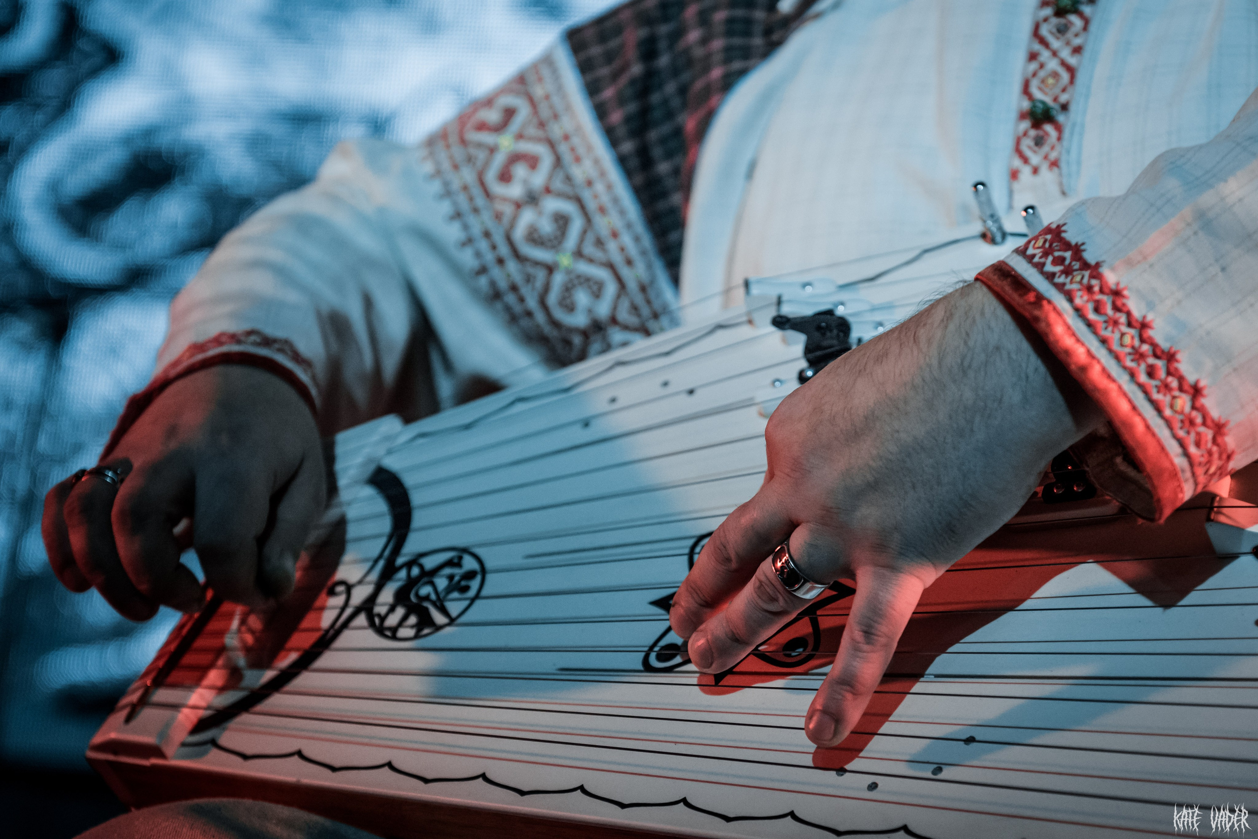 Сруб. Kate Vader|Live Music Photography