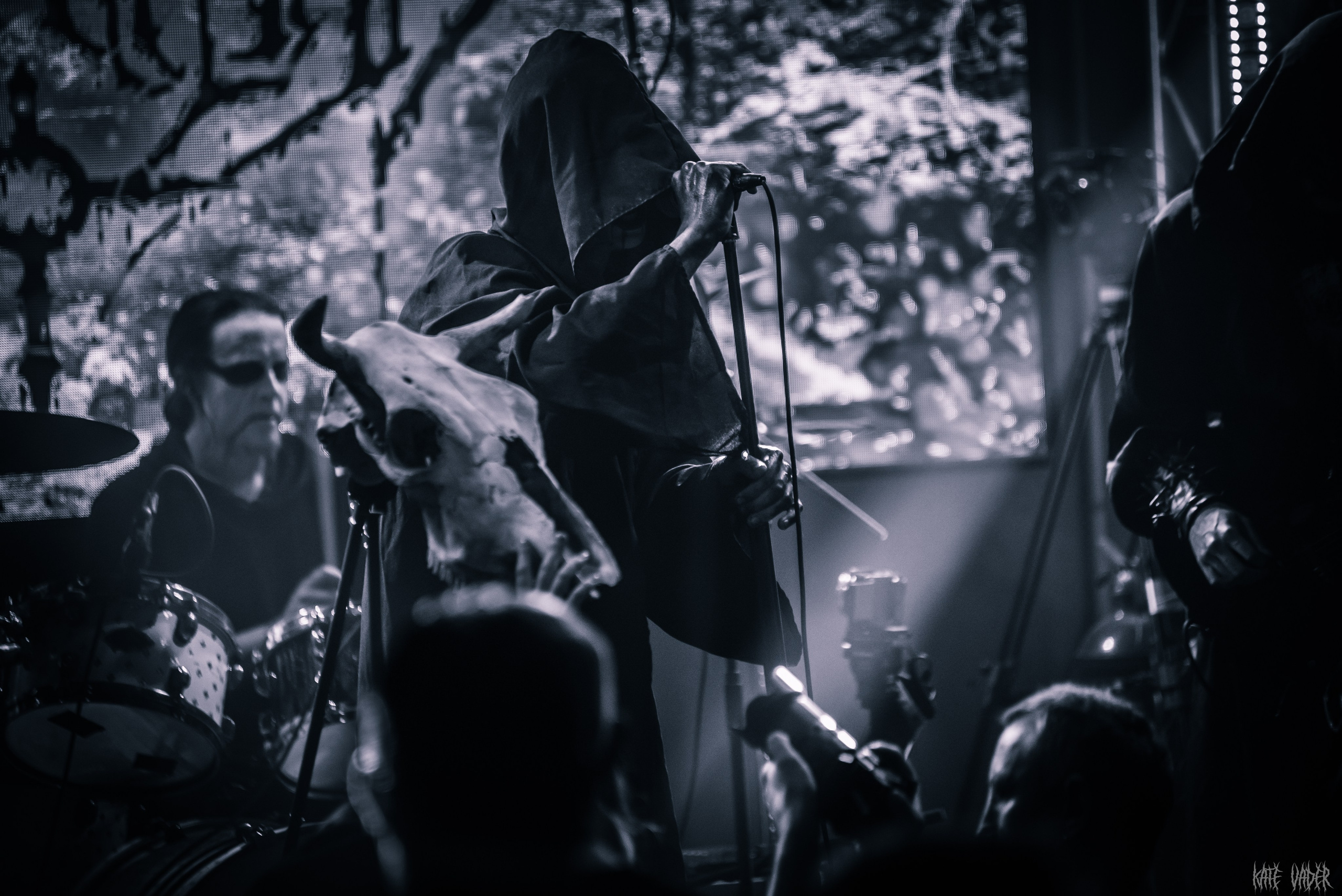 Vedmak. Kate Vader|Live Music Photography