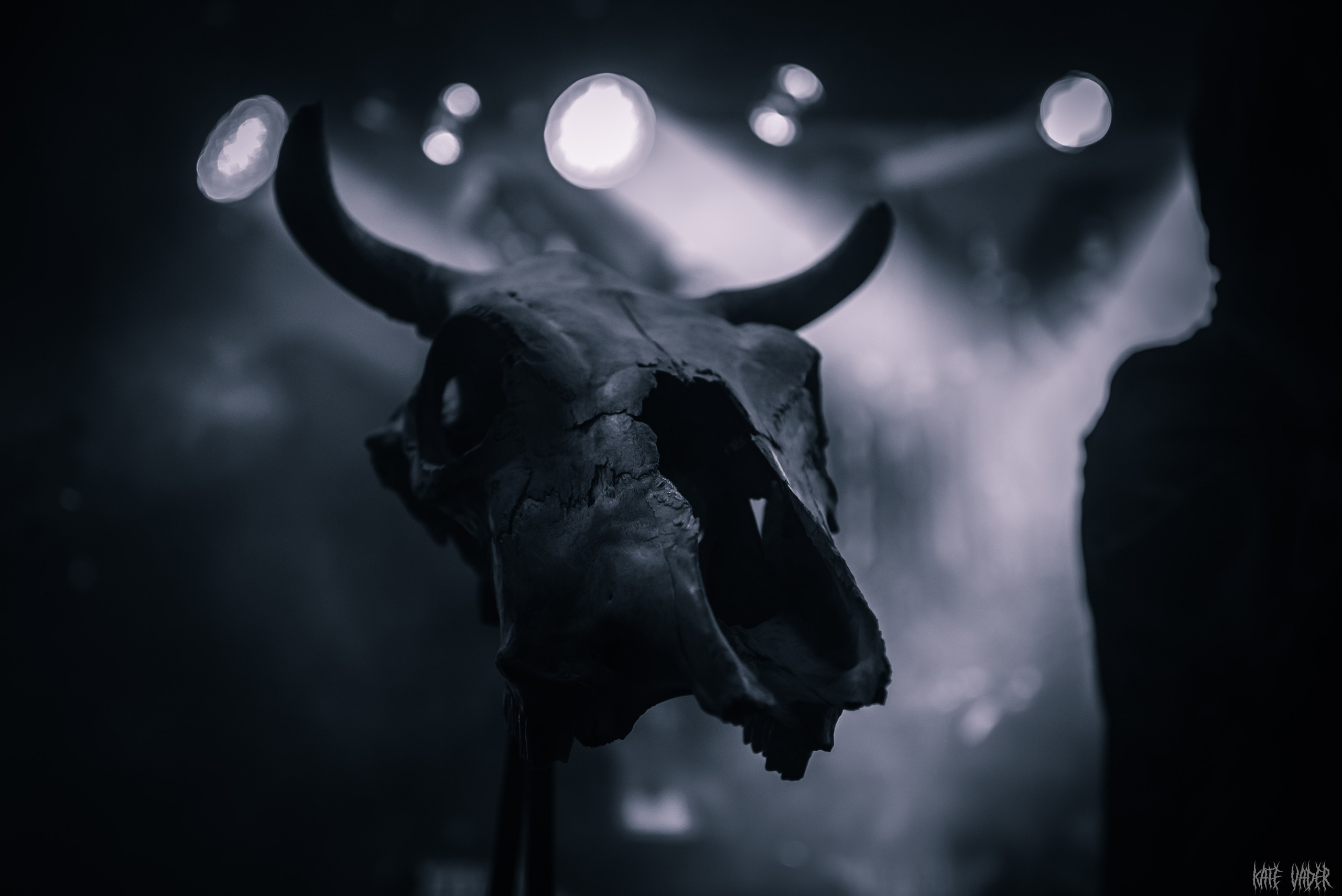 Vedmak. Kate Vader|Live Music Photography