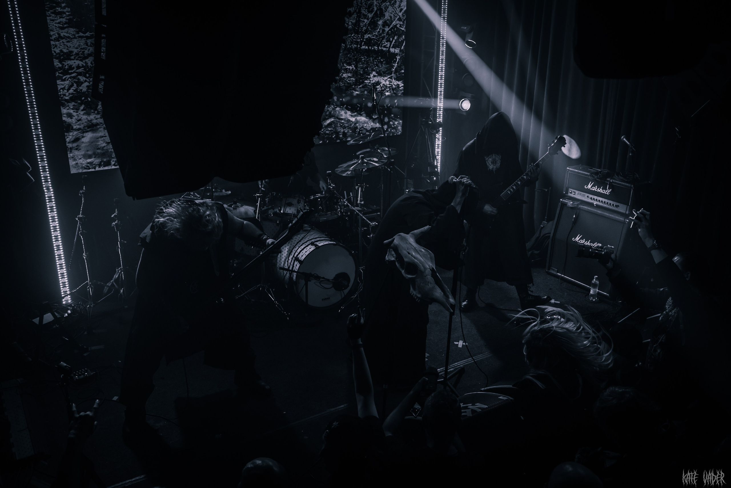 Vedmak. Kate Vader|Live Music Photography