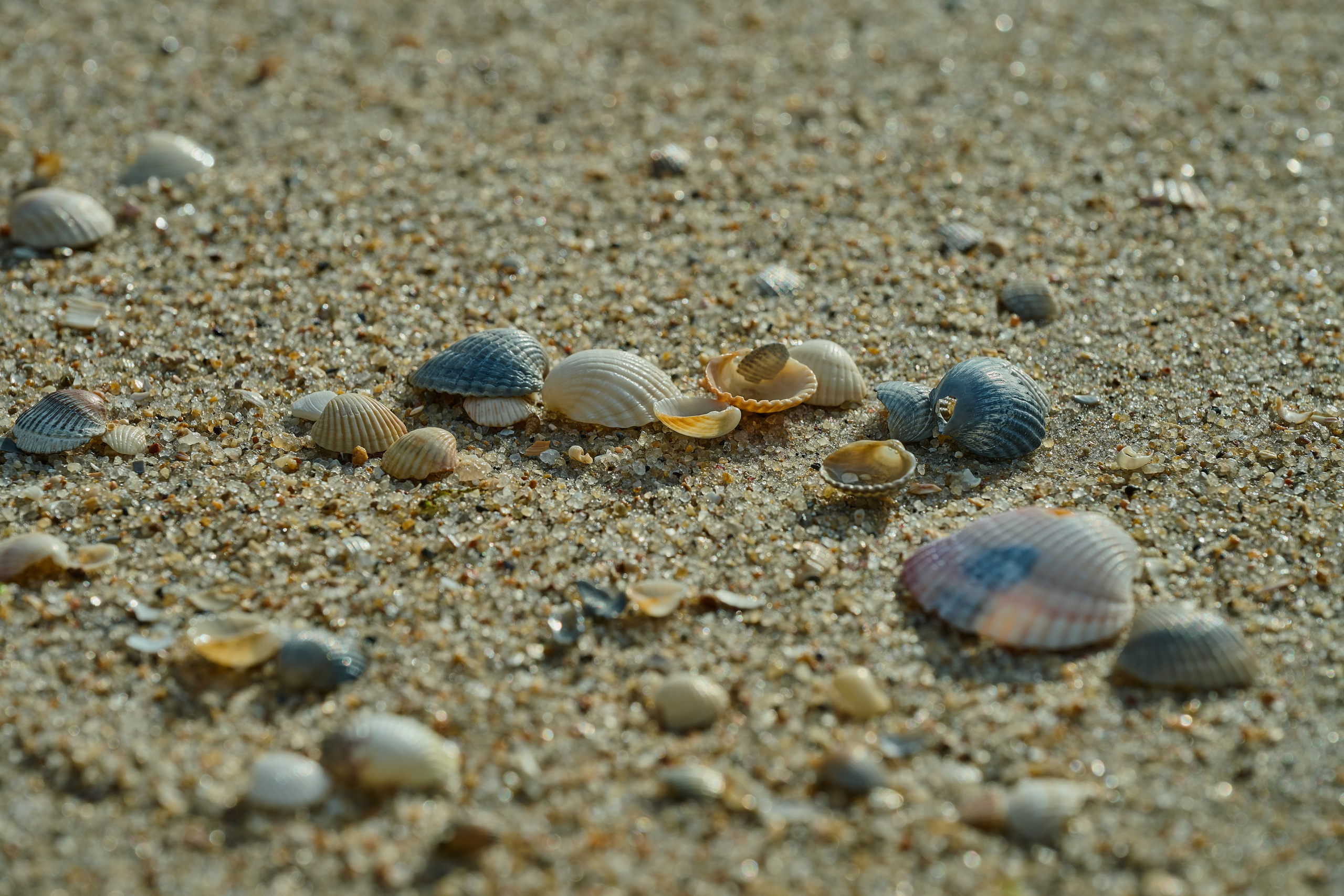 Мелитополь. Фотопроект «Территории»