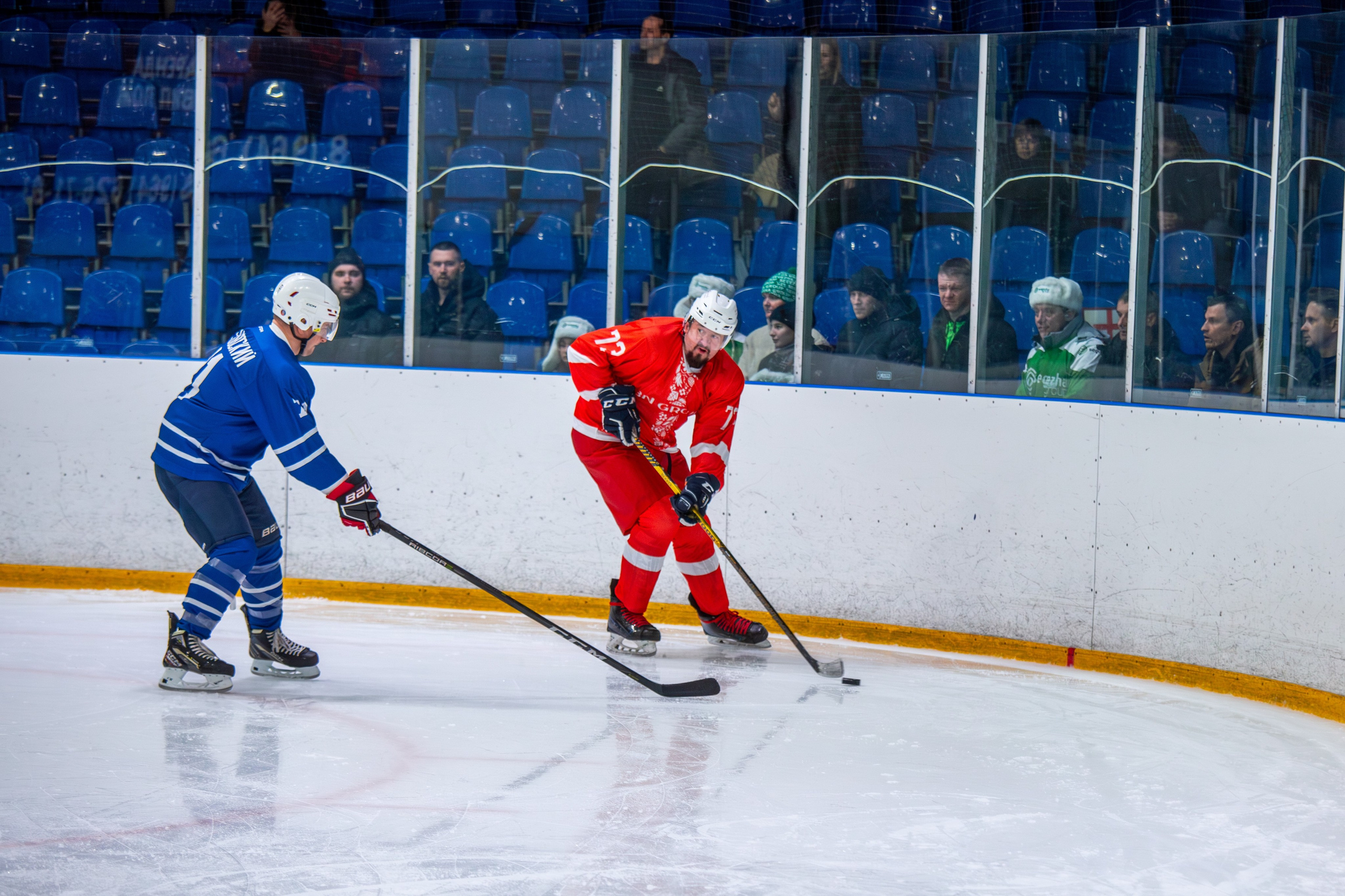 Чемпионат по хоккею. Репортажный, семейный, свадебный, портретный фотограф
