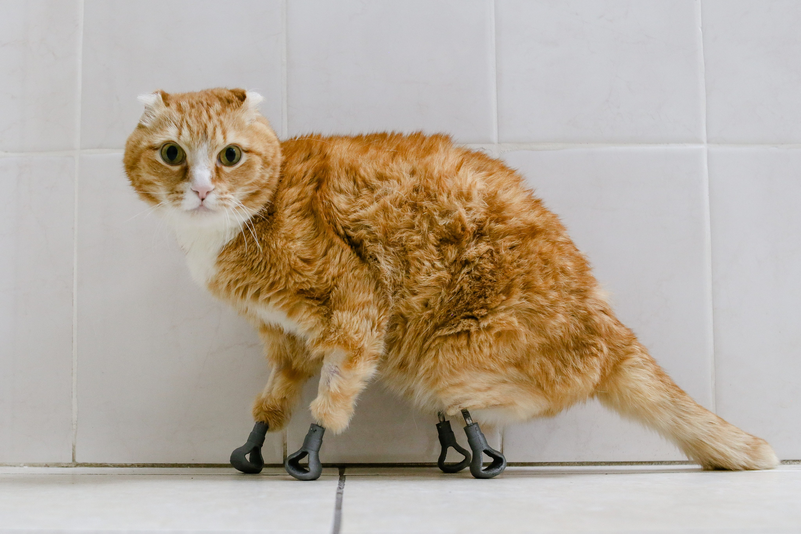 ДОКУМЕНТАЛЬНАЯ \ ФОТОЖУРНАЛИСТИКА. Документальный и коммерческий фотограф Влад Некрасов