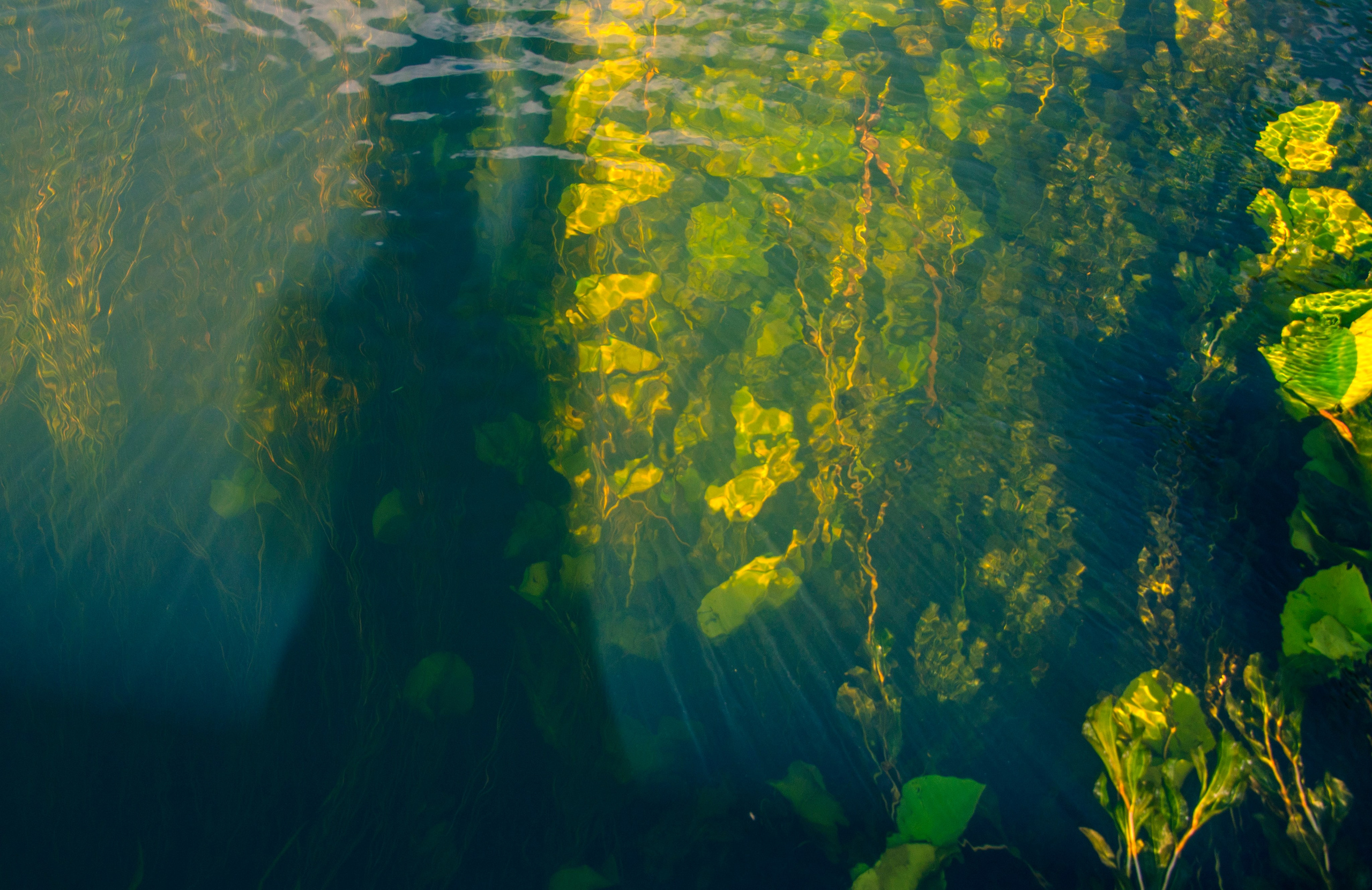 ФАКТУРКИ и ДЕТАЛЬКИ. Фотограф Татьяна Андриянова