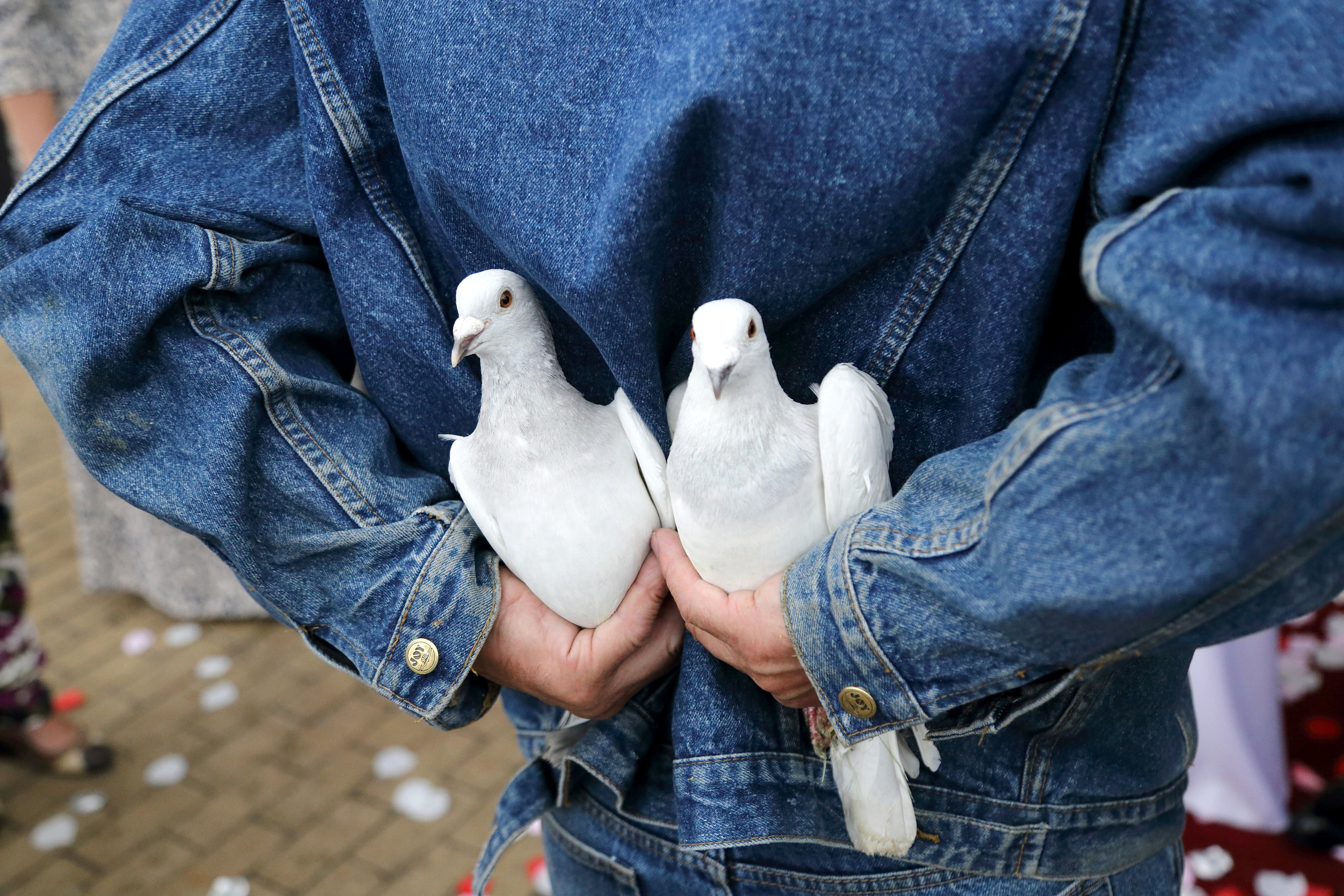 Катя и Дима. Фотограф Лагутин Анатолий