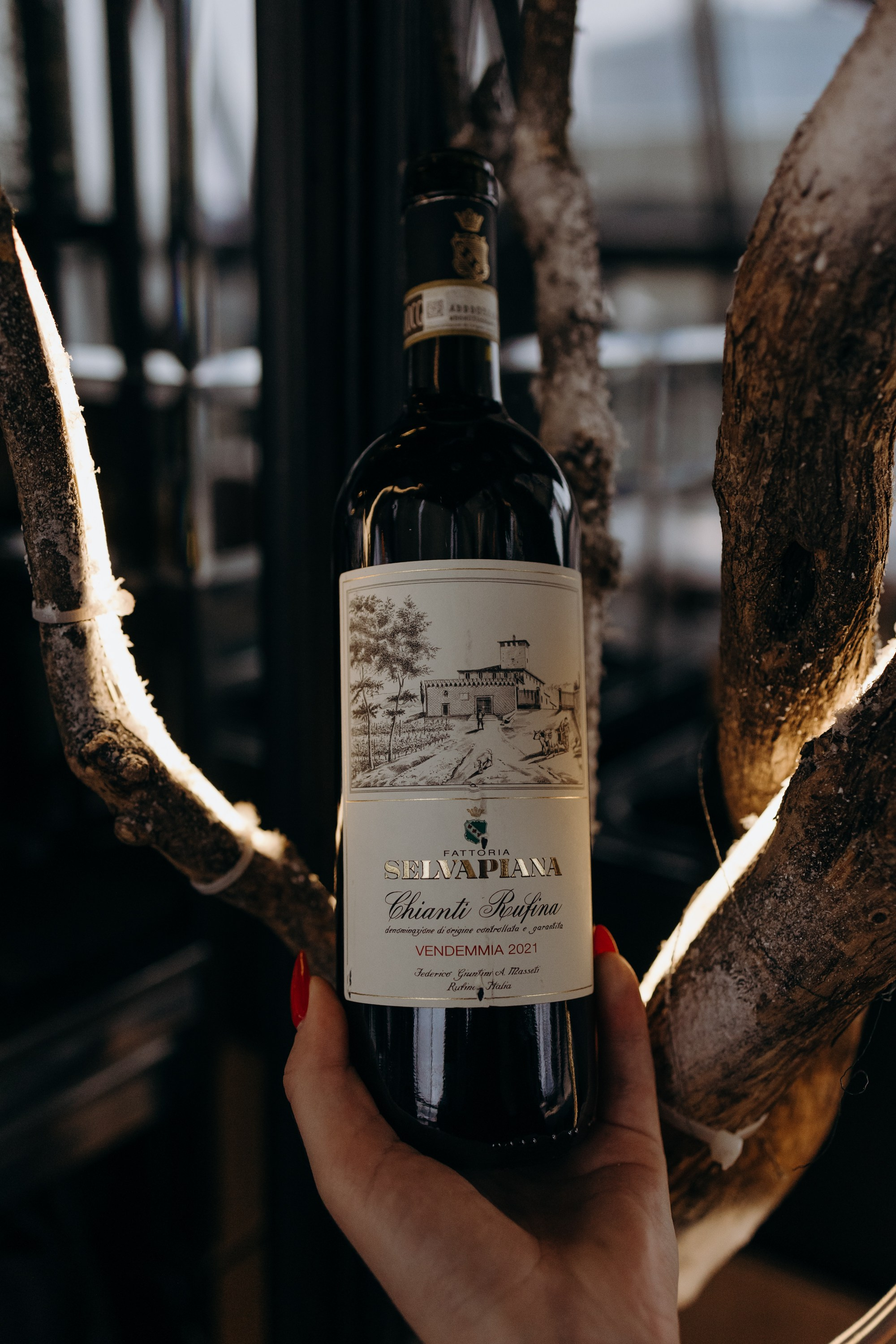 LUDING. Винная дегустация. Репортажный и свадебный фотограф в Москве Лена Таращенко