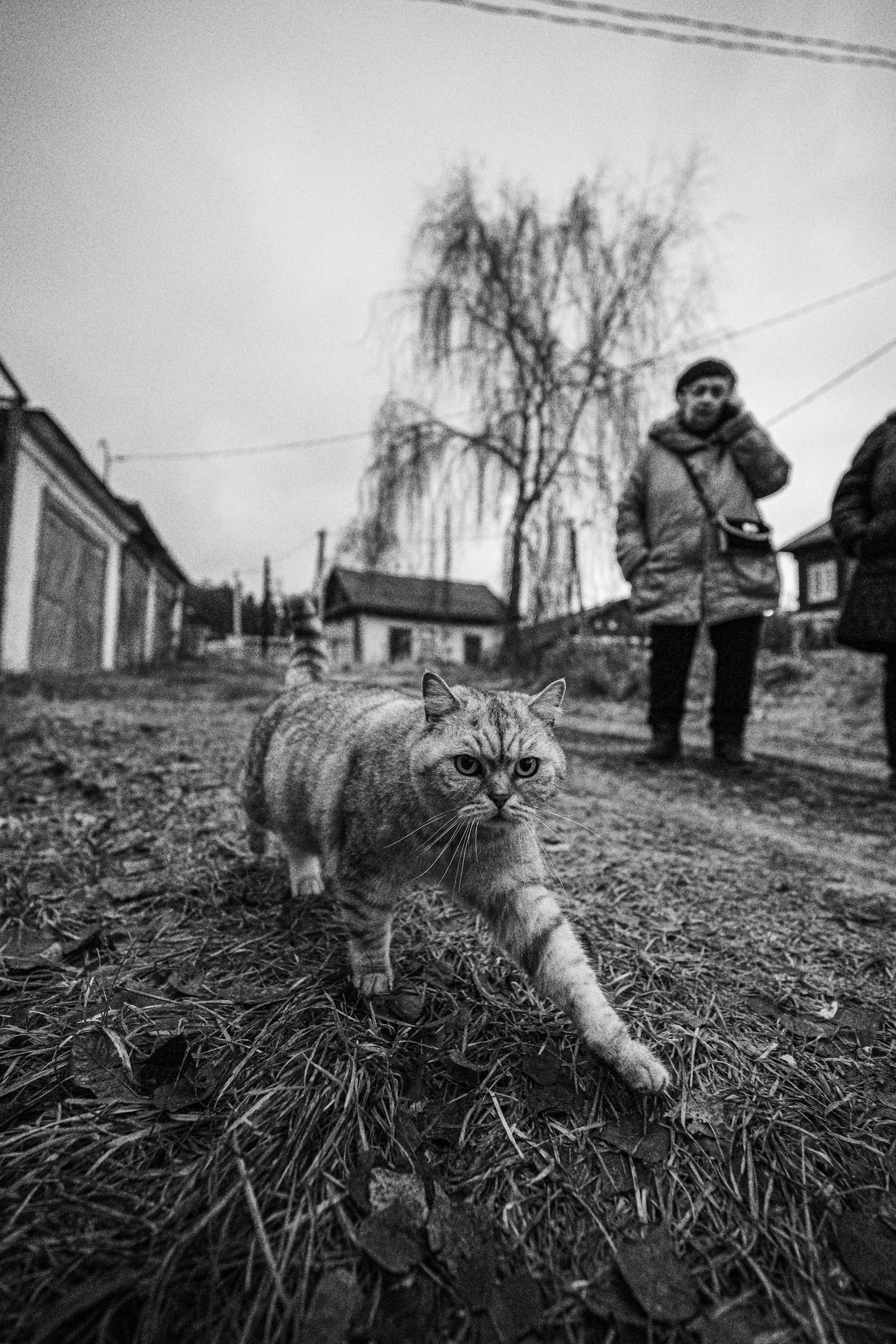 Стрит фото. Свадебный фотограф в Казани, и Зеленодольске Радик Мухаметов