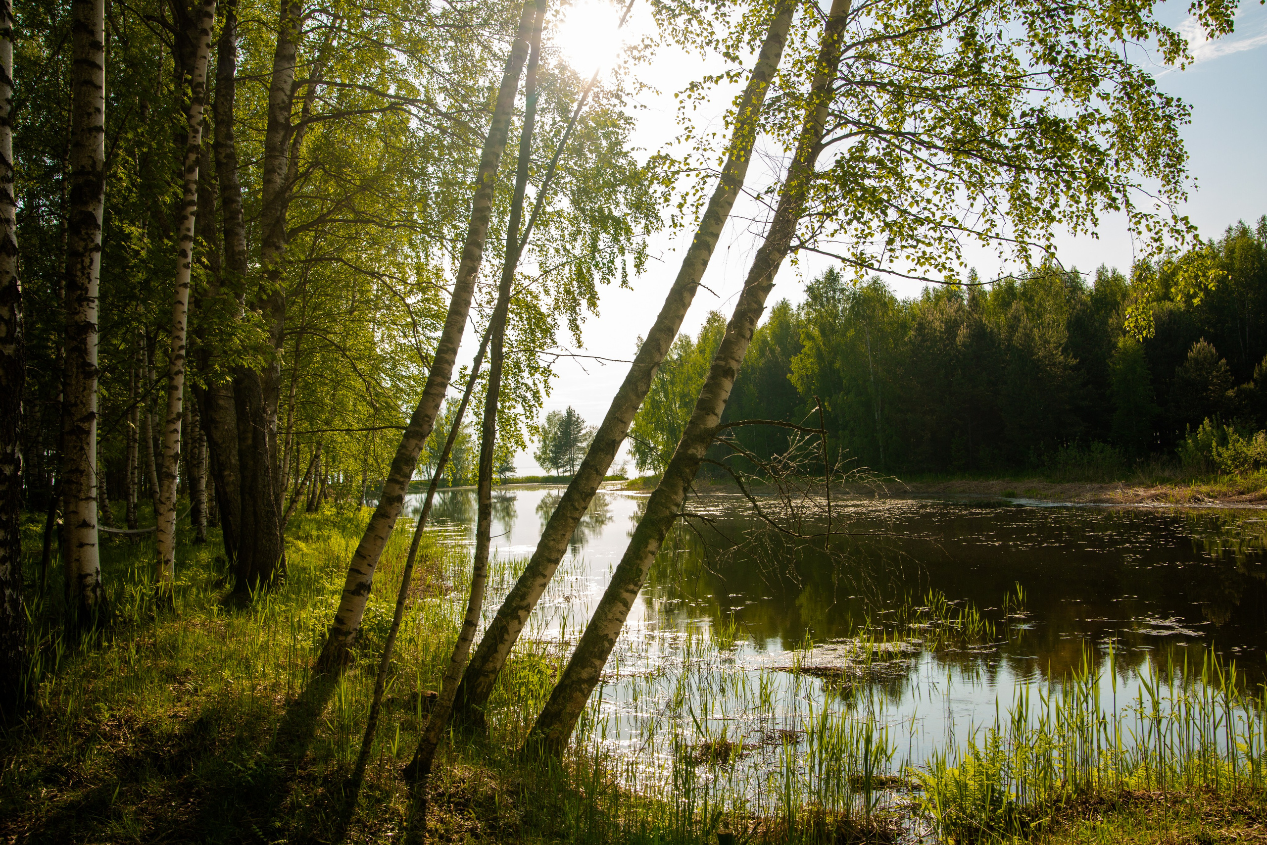 Глэмпинг «Берег грифона». Фотограф Шагалов Михаил
