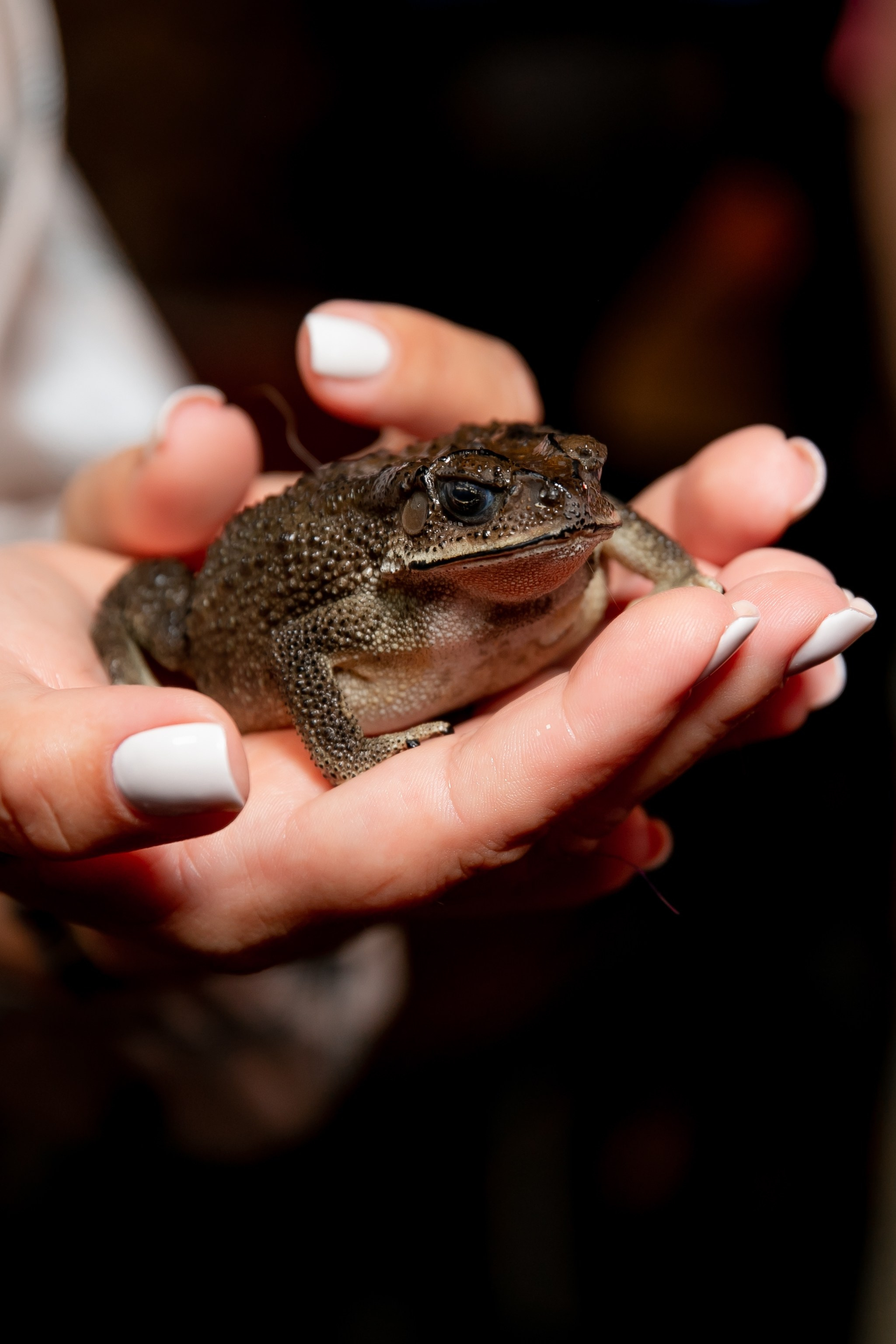 Дни рождения взрослые. Семейный фотограф в Москве