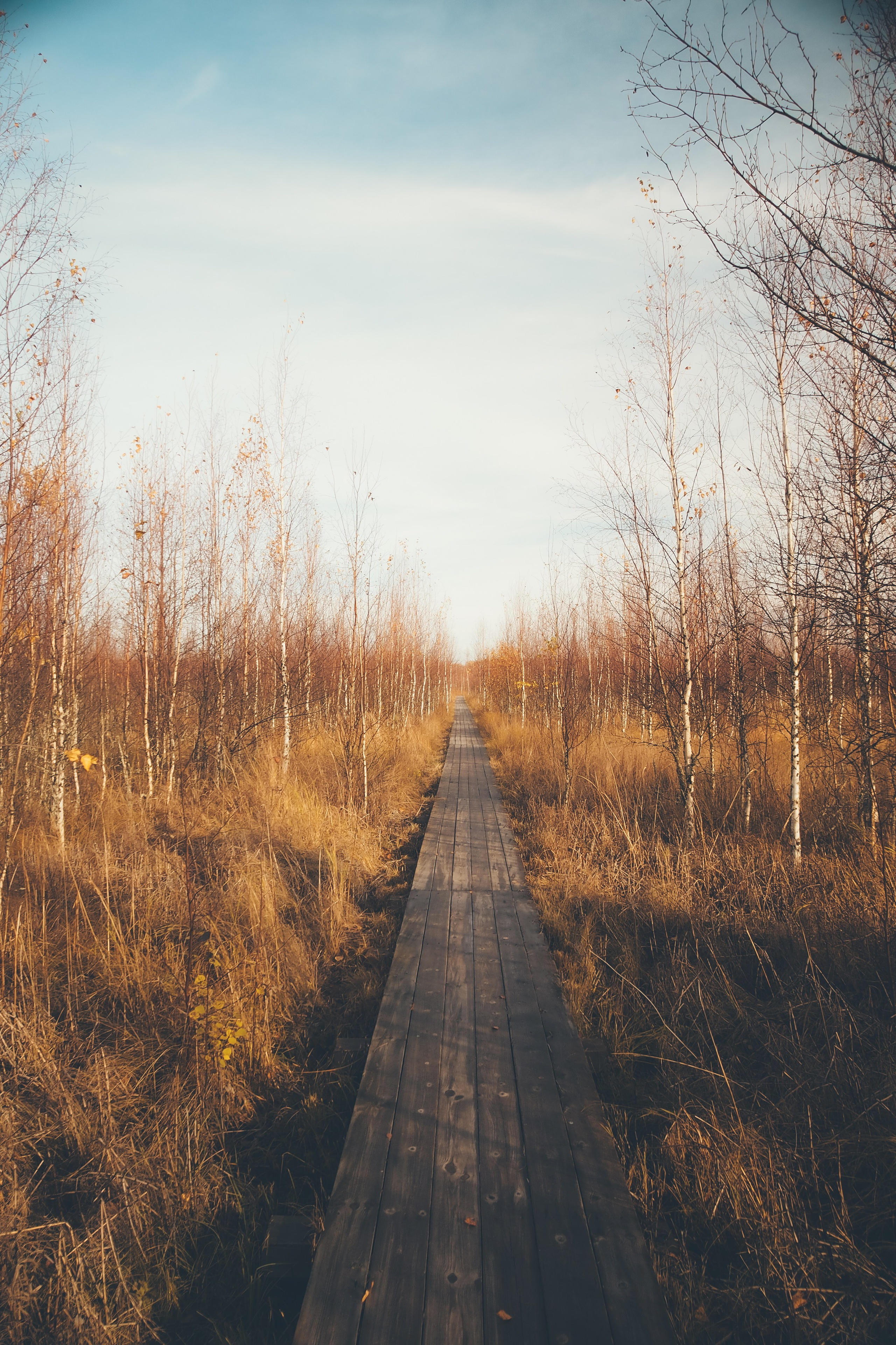 Раковые озера. Свадебный фотограф Копков Геннадий