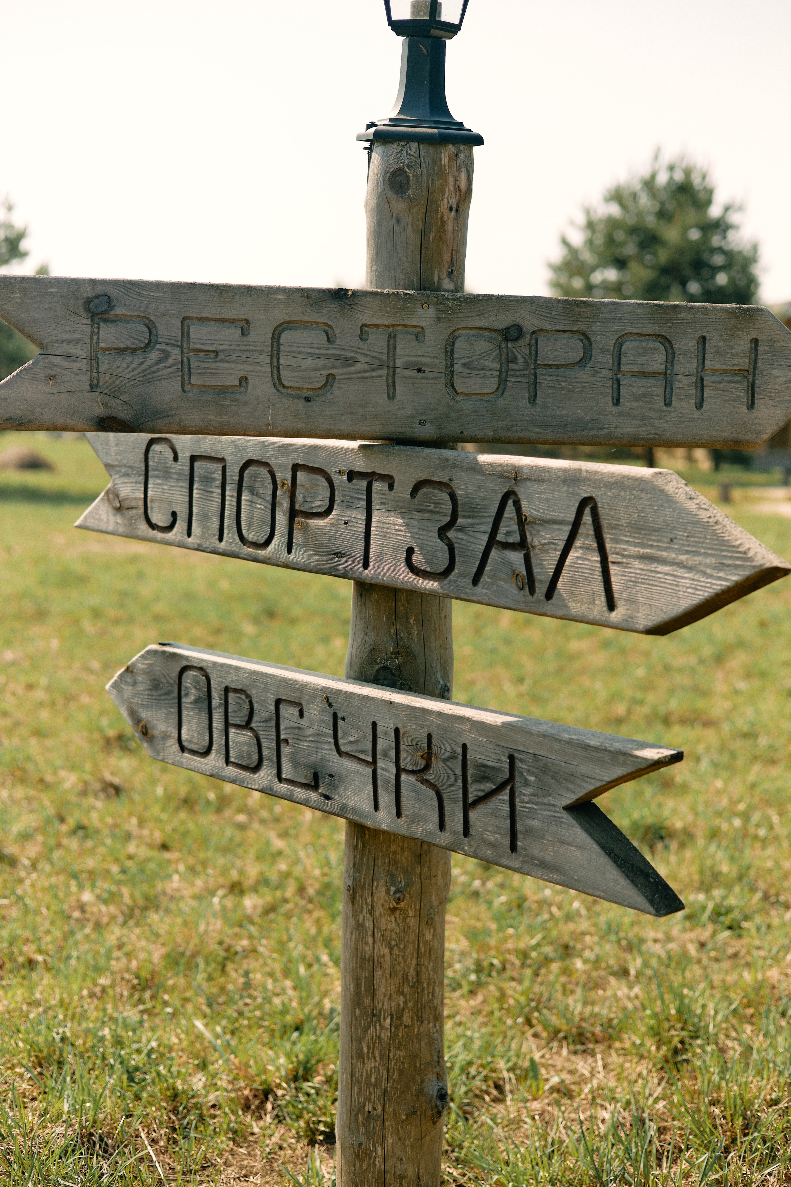 Бутик-отель Поле летом. Профессиональный Фотограф во Владимире, в Москве и в Суздале — Полина Романычева