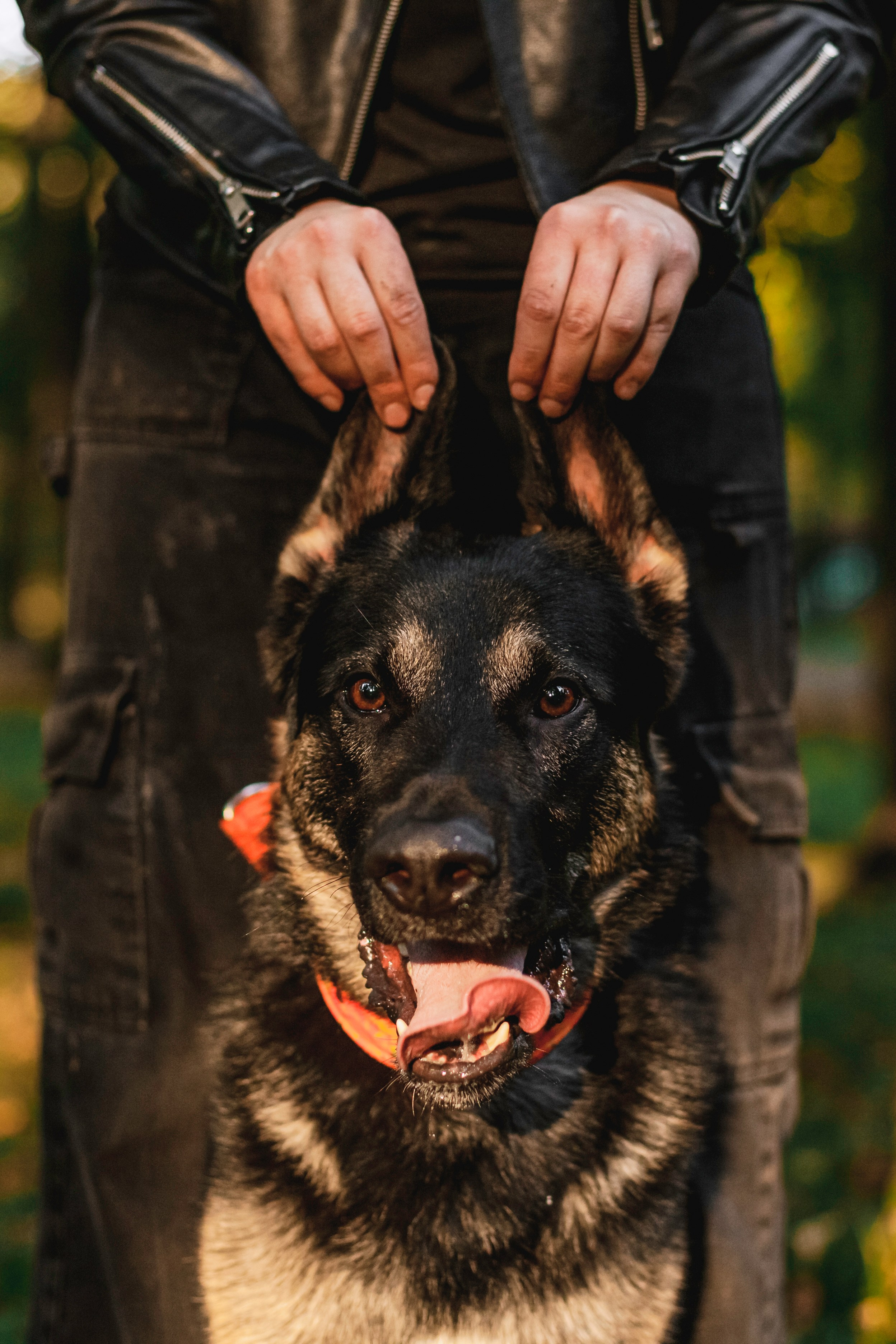 Илай. Фотограф-анималист Татьяна Степанова