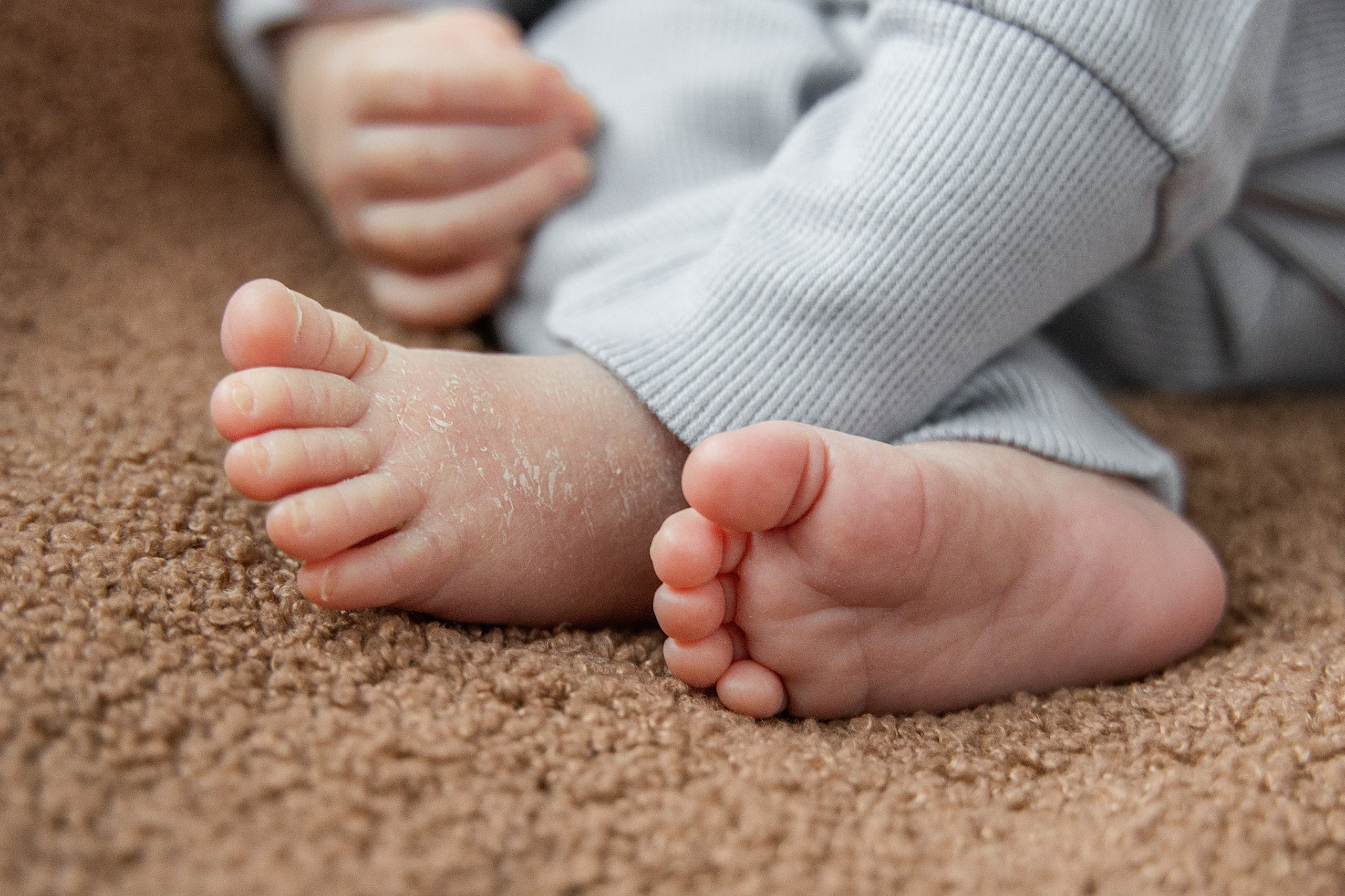 Пакет № 1 Базовый. Фотограф Москва Подольск МО