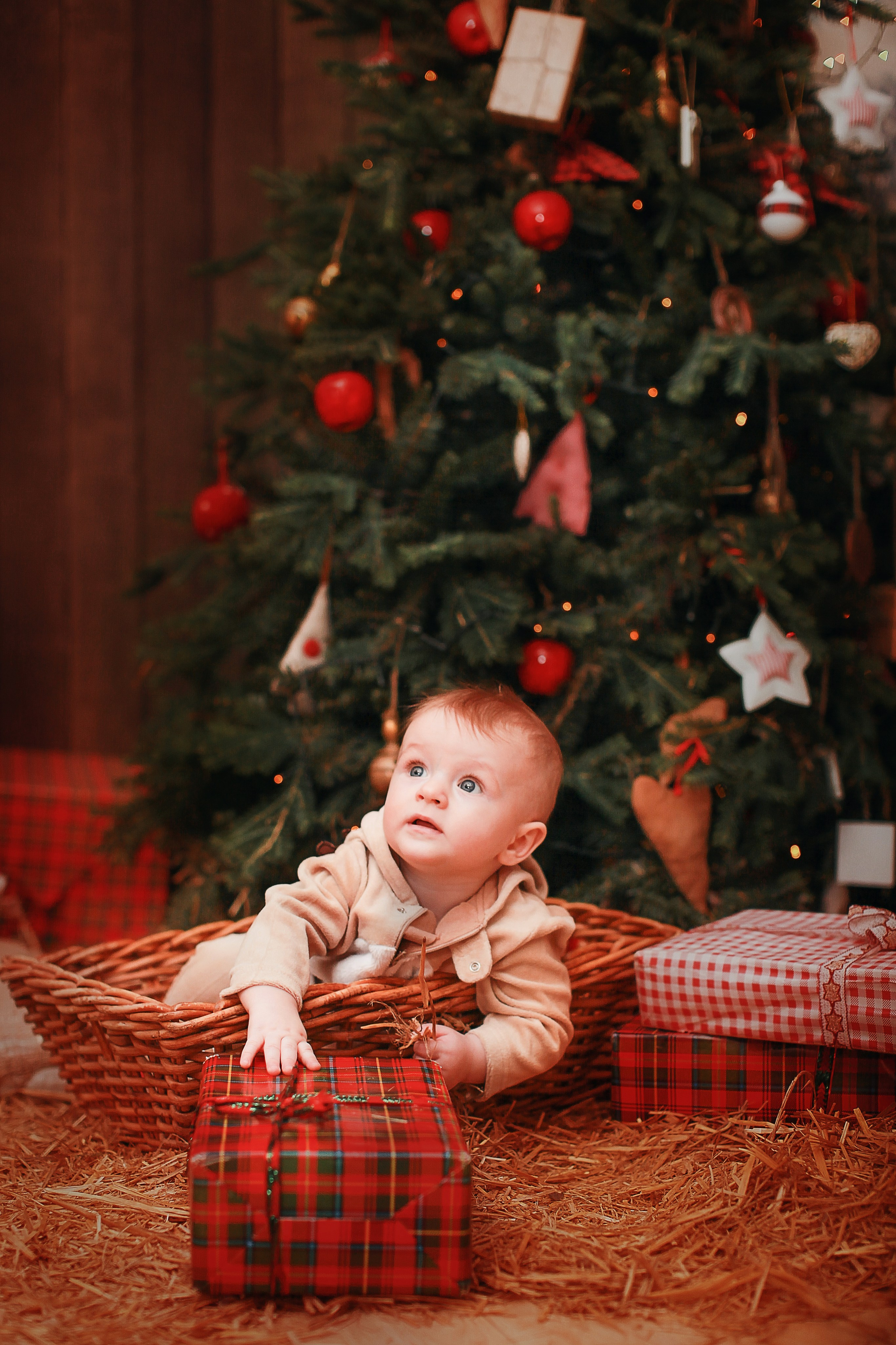 Новогодние фотосессии. Детский и семейный фотограф Зоя Павкина