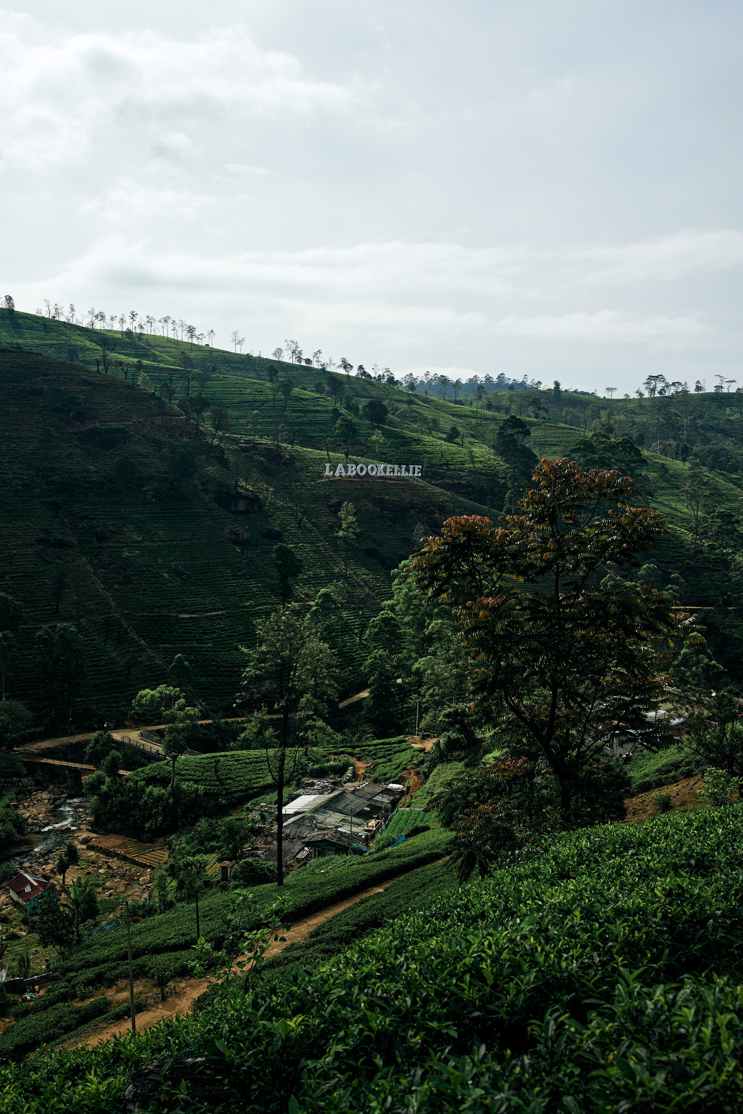 Шри-Ланка. Хороший репортажный и промышленный фотограф в Казани Алексей Щелконогов