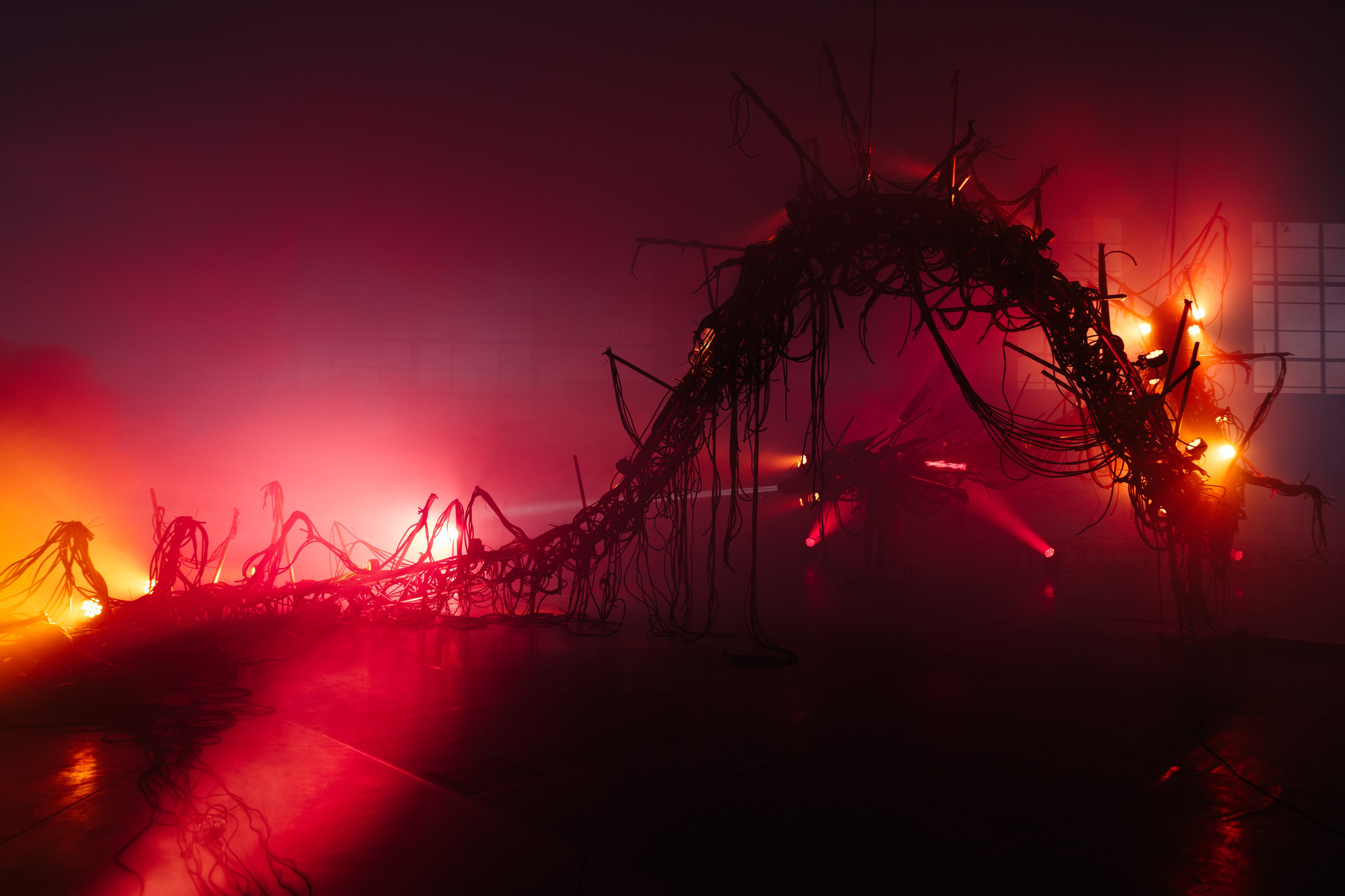 PANTERRA, CHRONOMORPH 001. @tomrus: Рустам Шагиморданов — фотограф