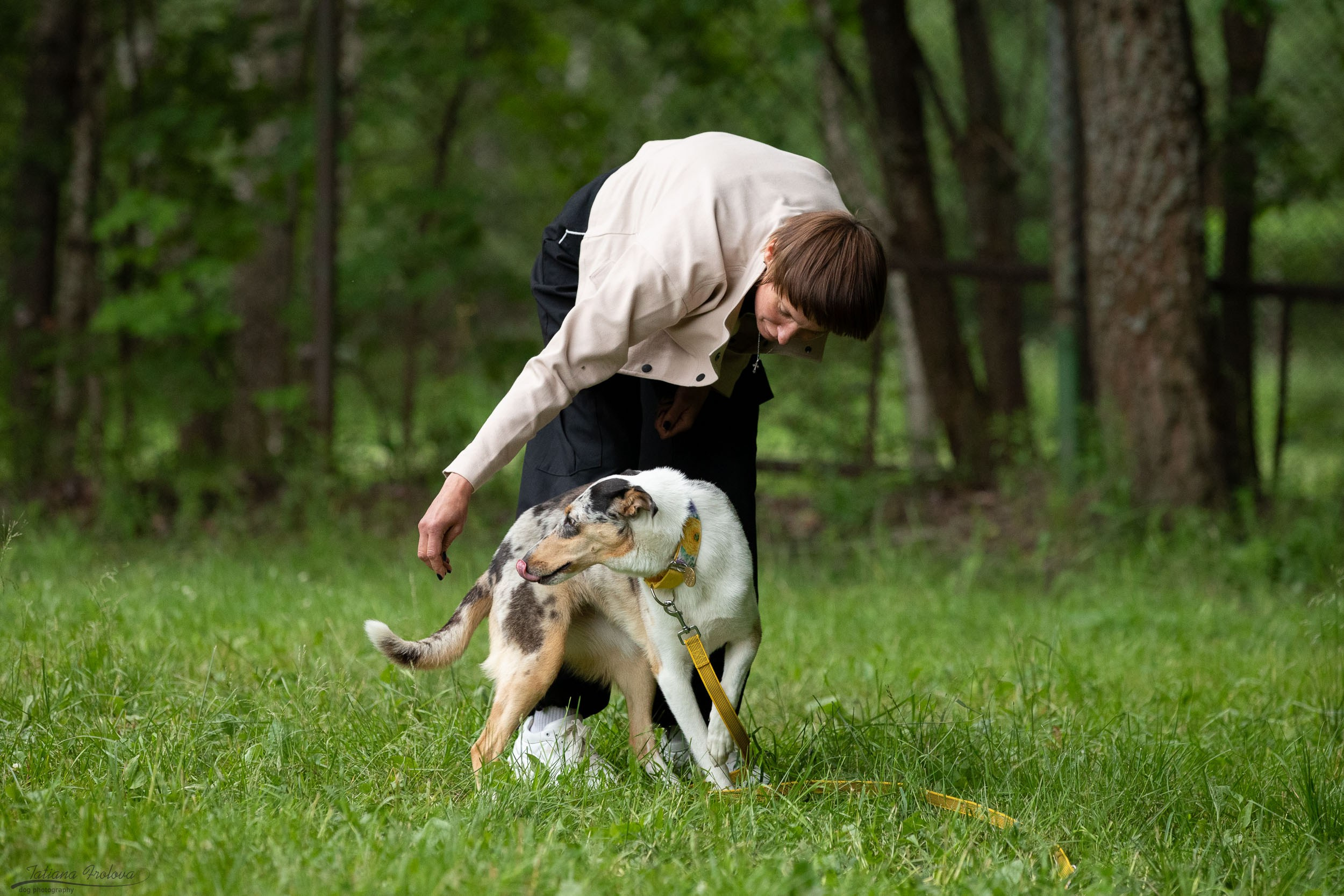 Репортаж с выводки молодняка колли/шелти в Ясенево. Фотограф-анималист в Москве и Московской области Татьяна Фролова