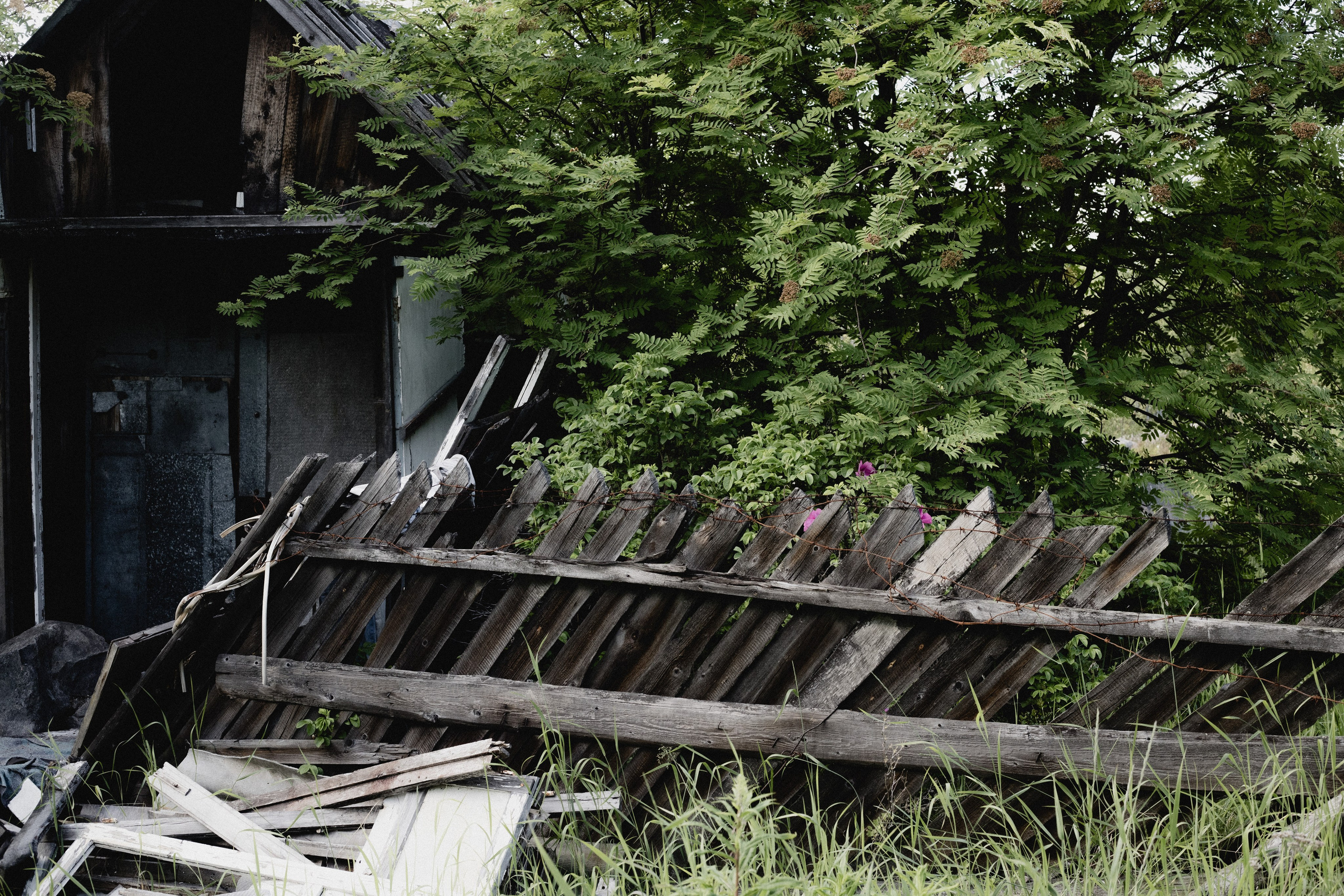 № 14. WAYHAY — Портретный фотограф