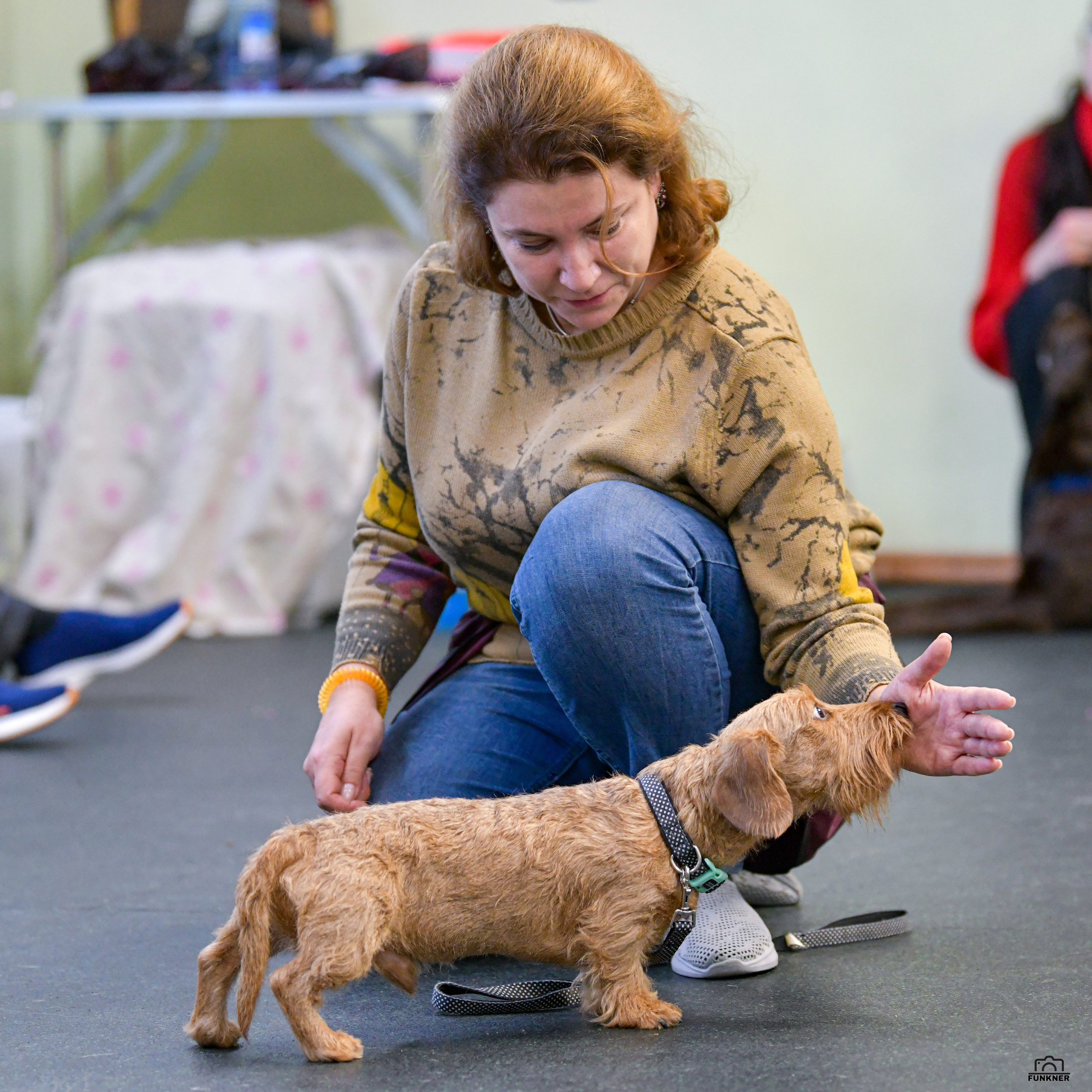 Кинологический клуб «Бодрый хвост». Свой взгляд через объектив