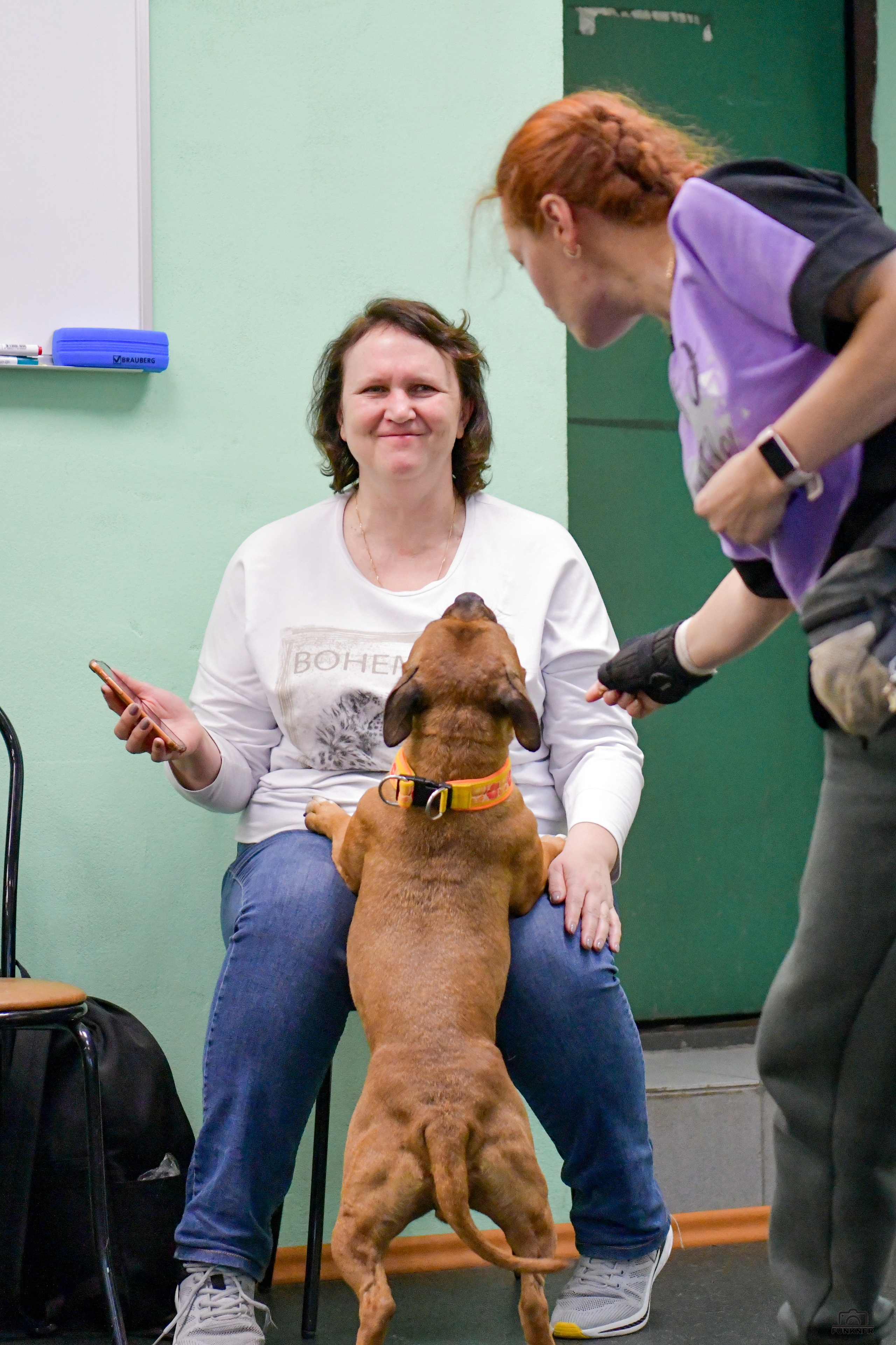 Кинологический клуб «Бодрый хвост». Свой взгляд через объектив